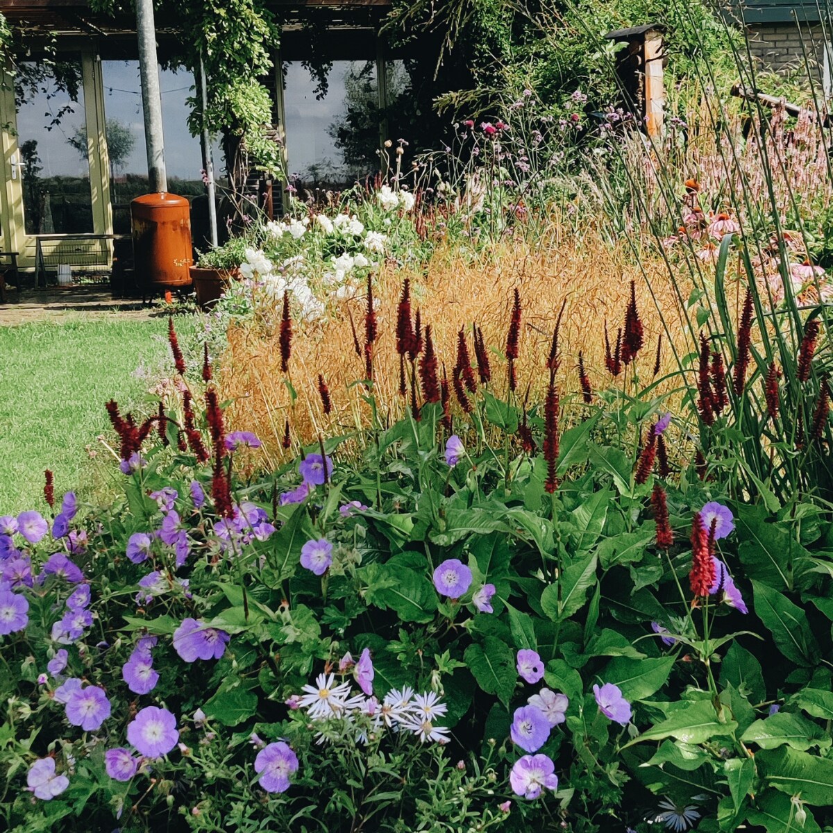 Border met persicaria's fotografie Vivian Hoebe en Mark Mulder