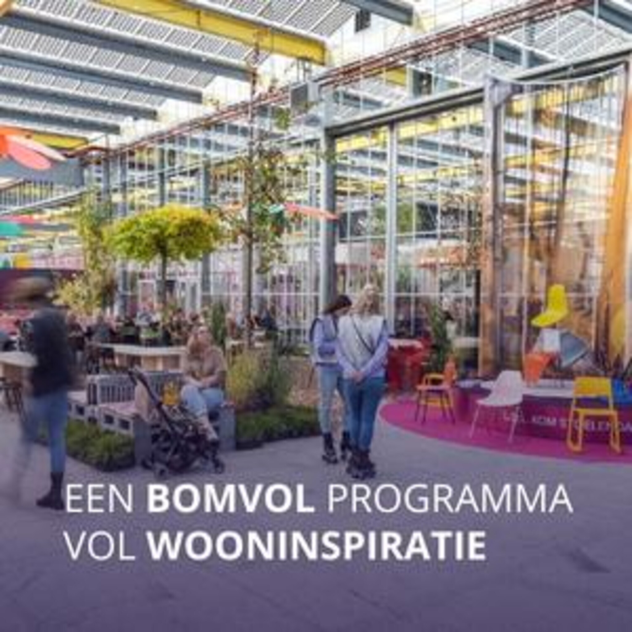 Programma - veranderen
