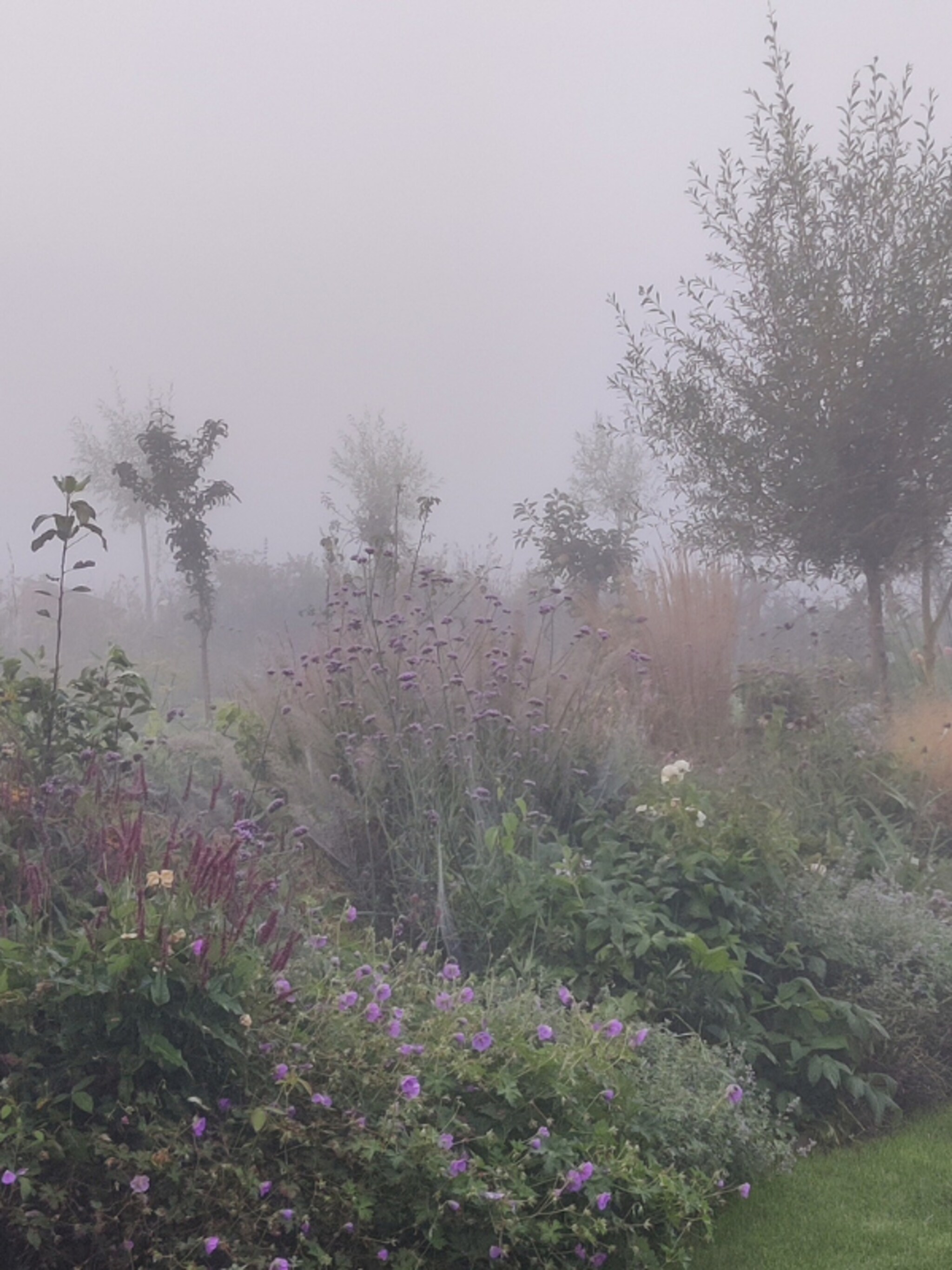 tips en ideeen van onze tuinexperts deze schatten van de natuur brengt de herfst met zich mee