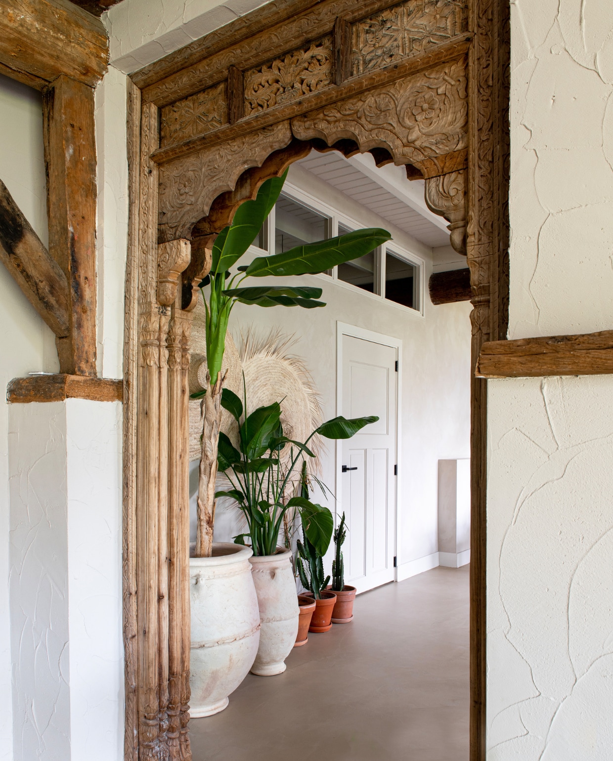 Poort uit India Magazijn22. Plantenpotten Mi-Casa en Bloem &amp; So. vtwonen 11-2023 | productie De Binnenkijkers | styling Jeske Weel | fotografie Caroline Coehorst