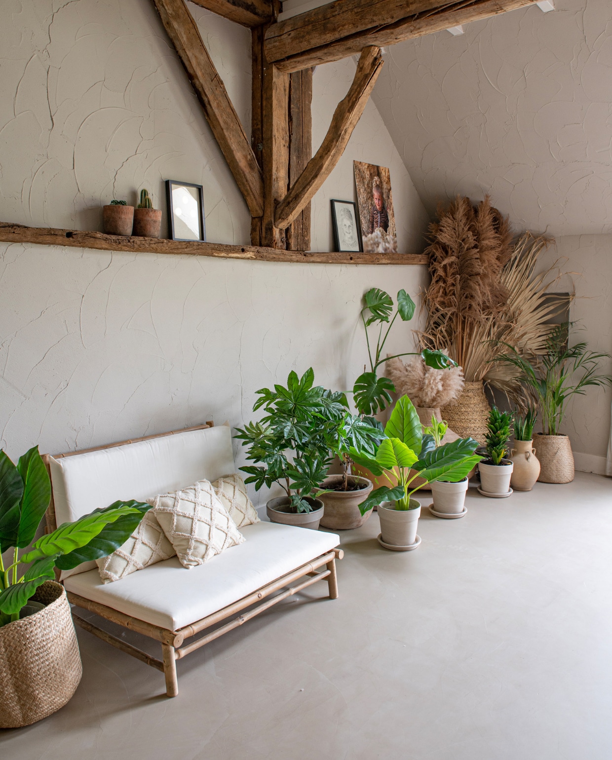 Bank Xenos, kussens Action, plantenpotten tuincentrum. Overig onbekend. vtwonen 11-2023 | productie De Binnenkijkers | styling Jeske Weel | fotografie Caroline Coehorst
