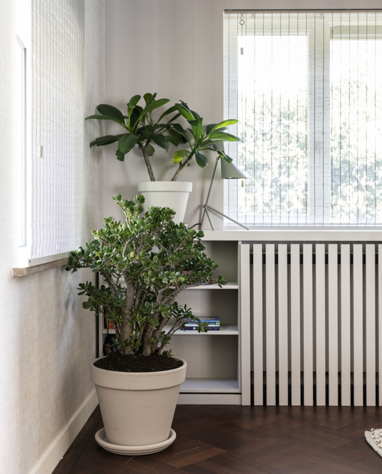 Weer verliefd op je huis aflevering 4 seizoen 19, Fietje in Hilversum, planten Weer verliefd op je huis aflevering 4 seizoen 19 | styling Fietje Bruijn | fotografie Margriet Hoekstra