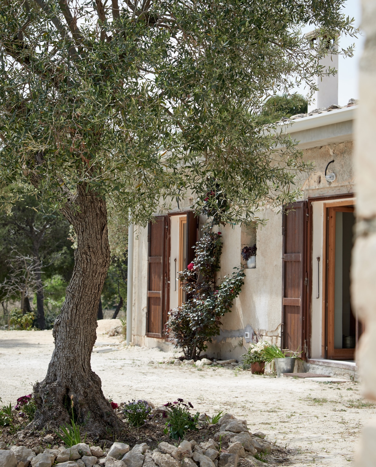 Buiten de verbouwde schuur van Angelo en zijn nichtjes in Noto, Sicilië. vtwonen 11-2019 | fotograaf Renee Frinking | styling Wilma Custers