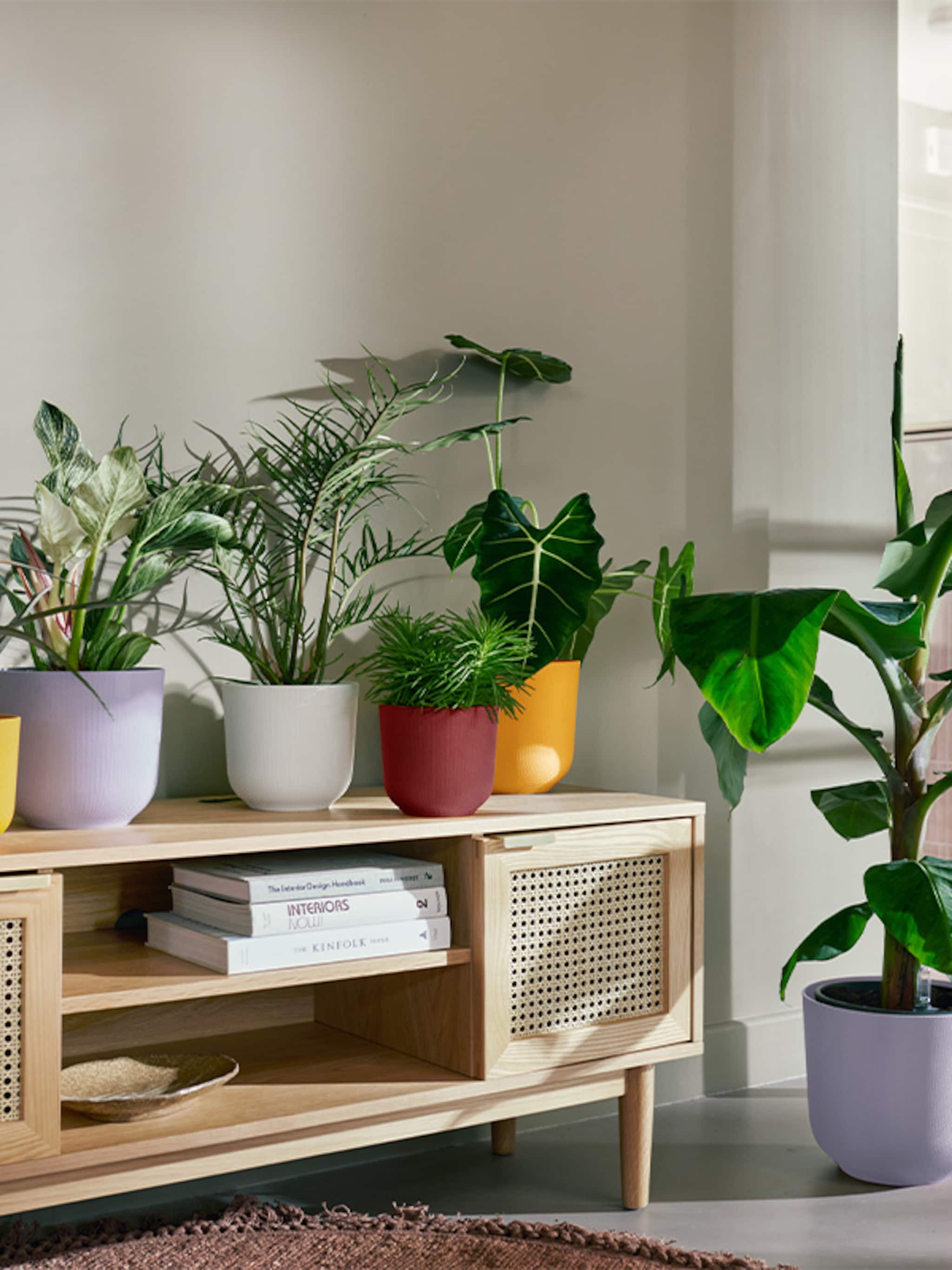 haal de natuur in huis 7 originele stylingideeen voor je kamerplanten