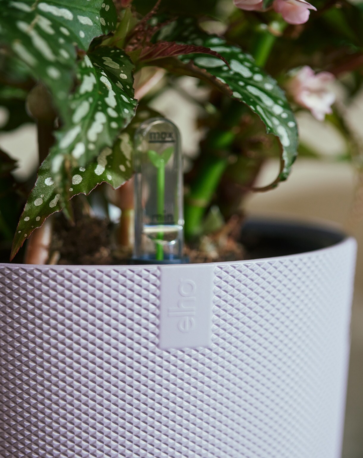 haal de natuur in huis 7 originele stylingideeen voor je kamerplanten