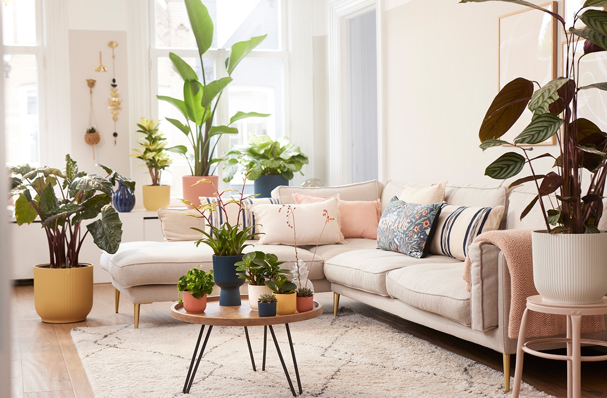 haal de natuur in huis 7 originele stylingideeen voor je kamerplanten