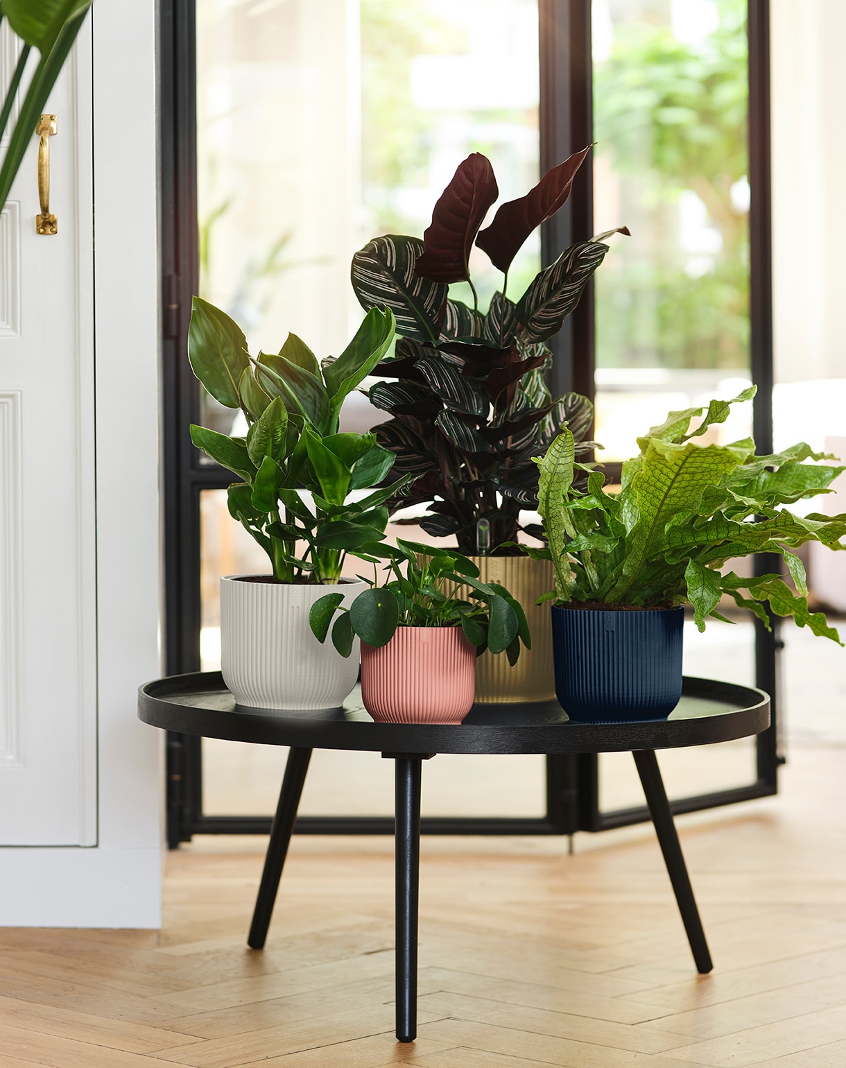 haal de natuur in huis 7 originele stylingideeen voor je kamerplanten