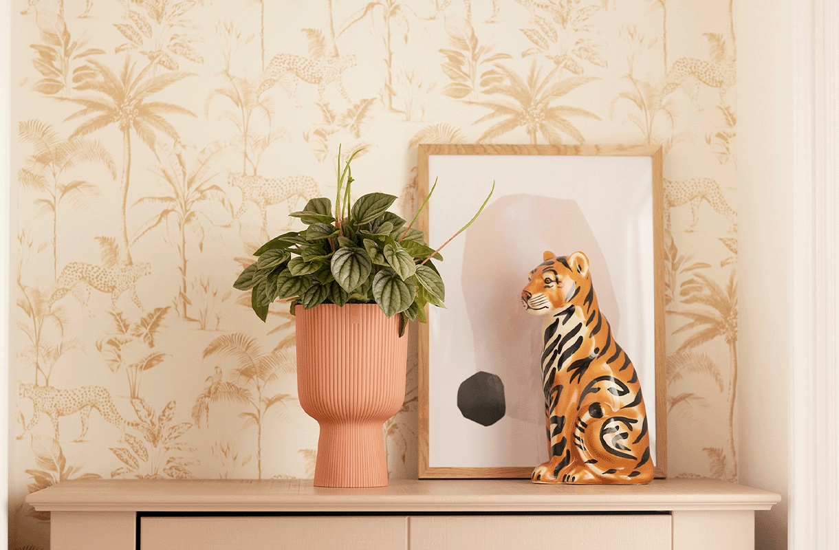 haal de natuur in huis 7 originele stylingideeen voor je kamerplanten