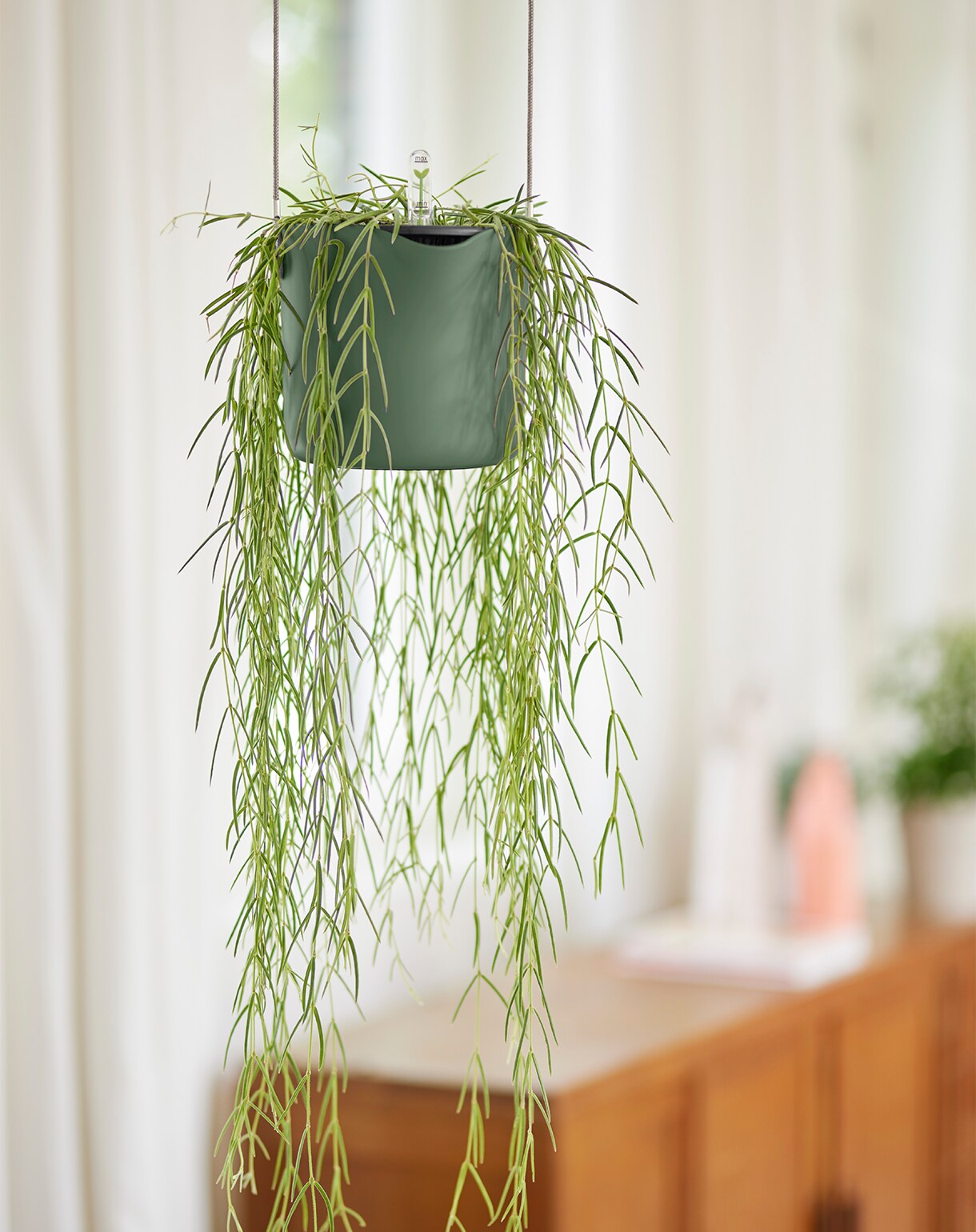 haal de natuur in huis 7 originele stylingideeen voor je kamerplanten