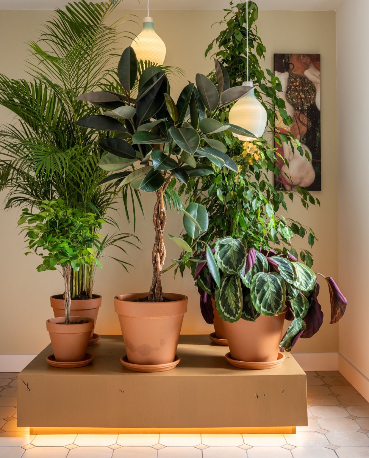 Weer verliefd op je huis aflevering 6 seizoen 19, stylist Frans in Sint Pancras, planten Weer verliefd op je huis aflevering 6 seizoen 19 | styling Frans Uyterlinde | fotografie Margriet Hoekstra