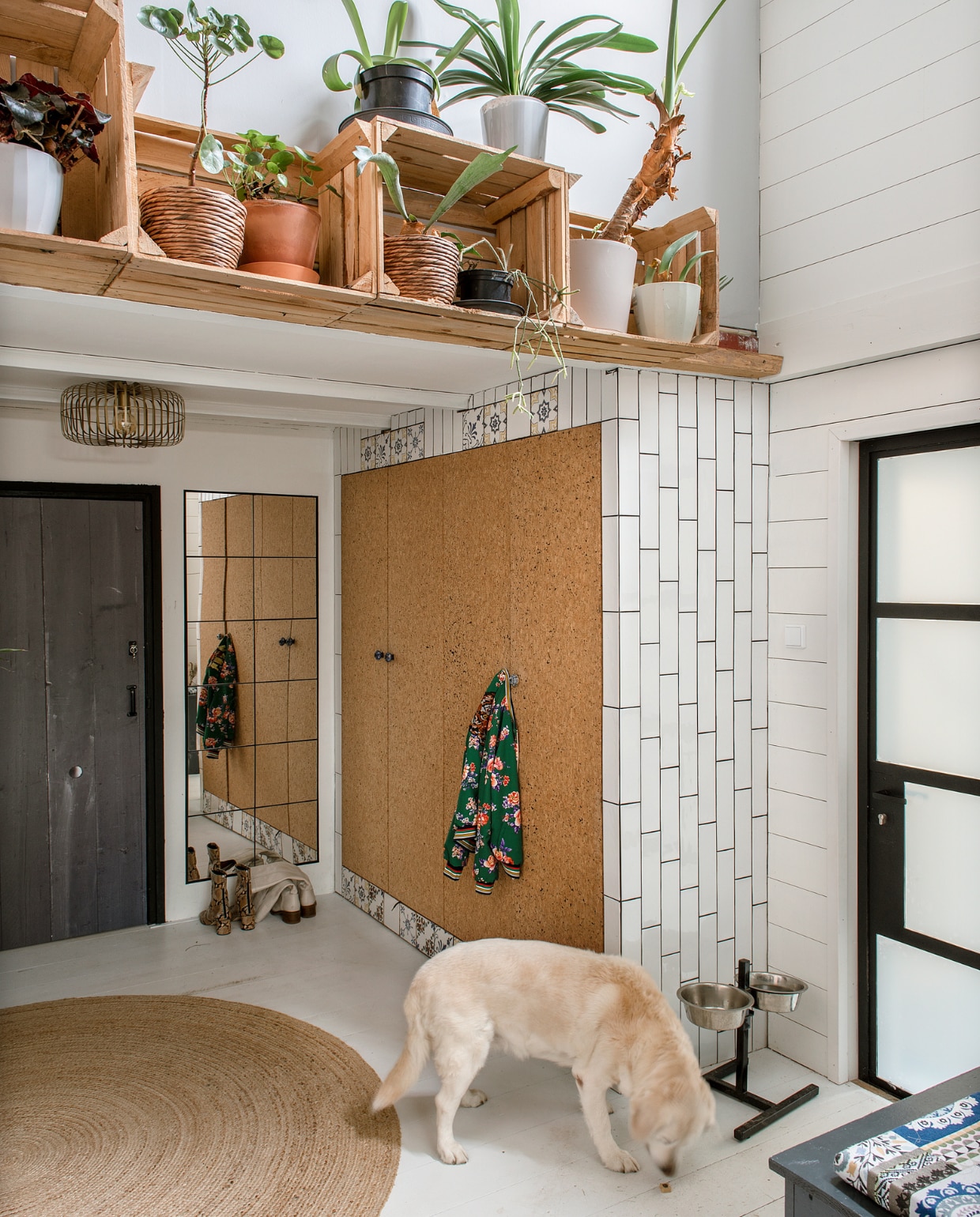Kastdeuren Småstad en spiegels Lots van Ikea. Tegels Tegels in huis. Deursticker vtwonen. Vloerkleed Leen Bakker. Kratjes, potten en planten De Plantenhal. Overig onbekend. vtwonen special DIY 6-2022 | fotografie Ton Bouwer