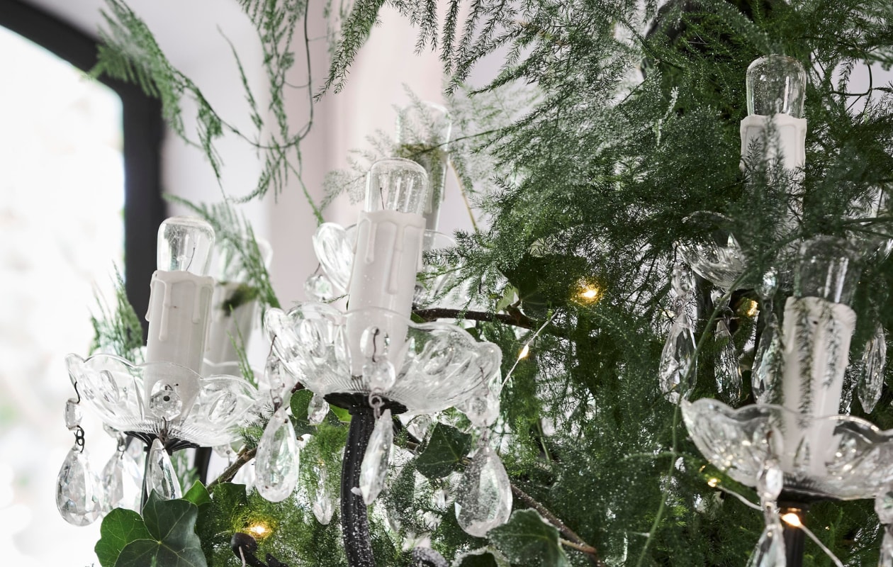 Asparagus en hedera (intratuin.nl). Kroonluchter (jolandelijk.nl). Lichtsnoer (intratuin.nl). vtwonen feestbijlage 12-2020 | styling Marlies Does | fotografie Bart Brussee