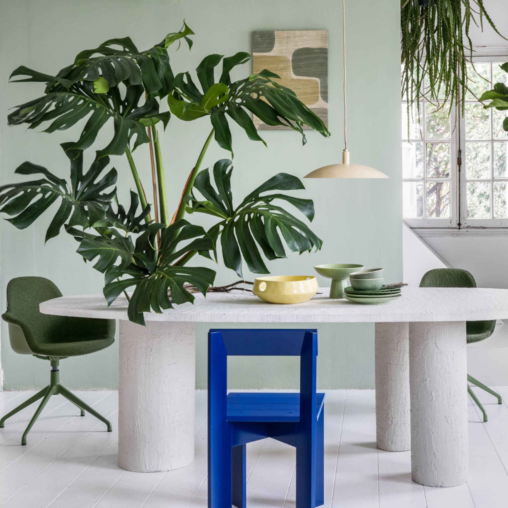 Linkinbio-20231109-kamerplanten