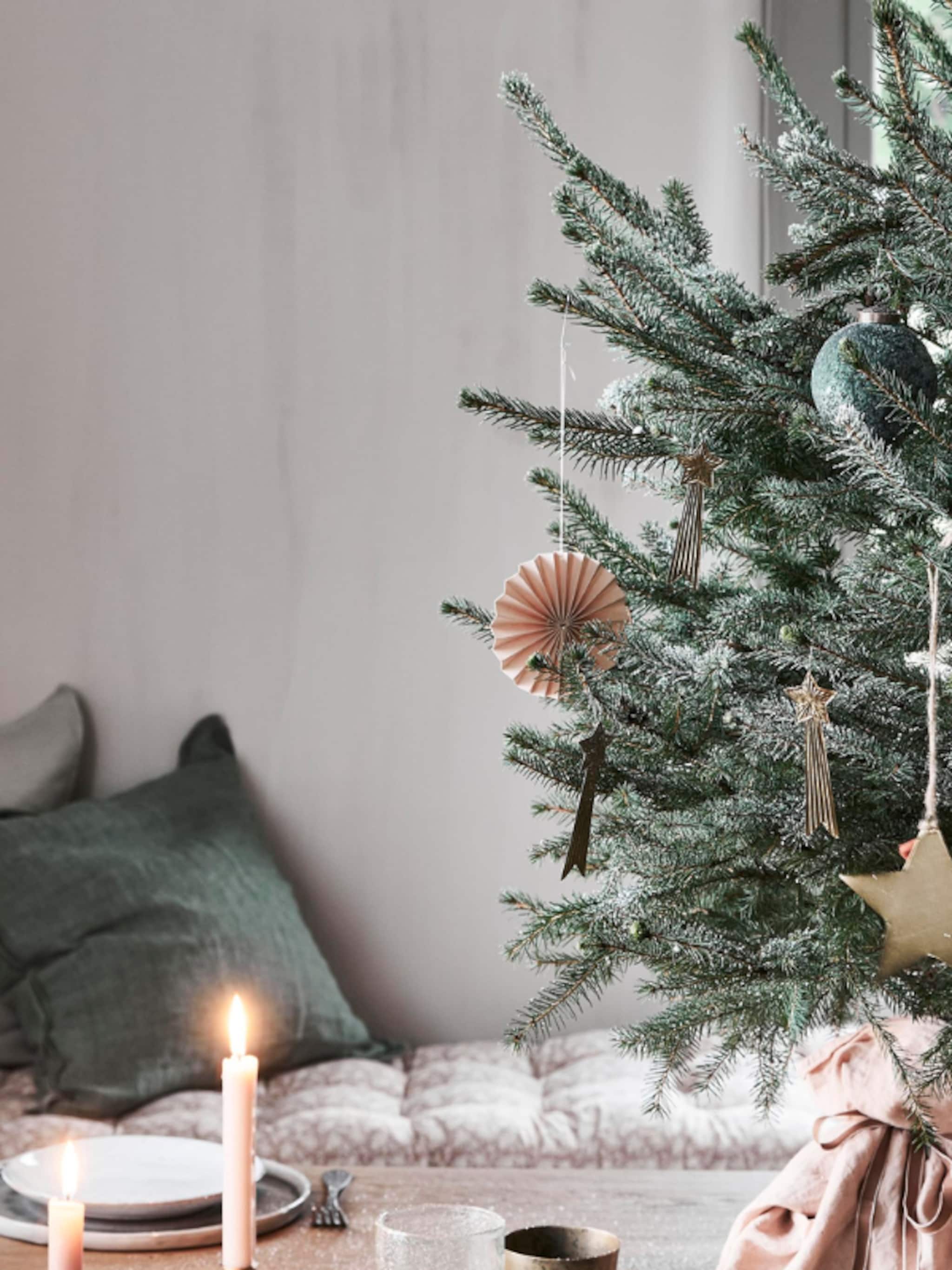 kopen van een echte kerstboom