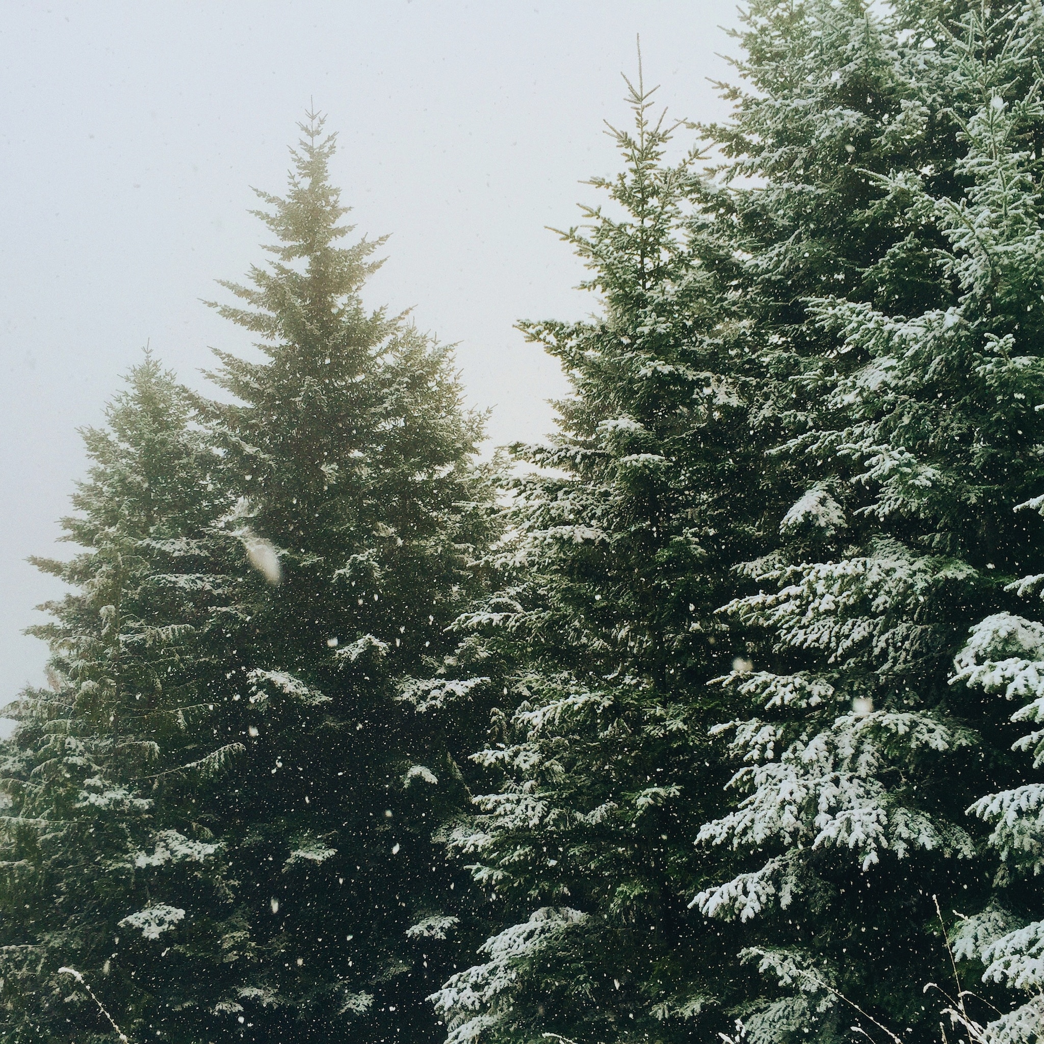 Unsplash