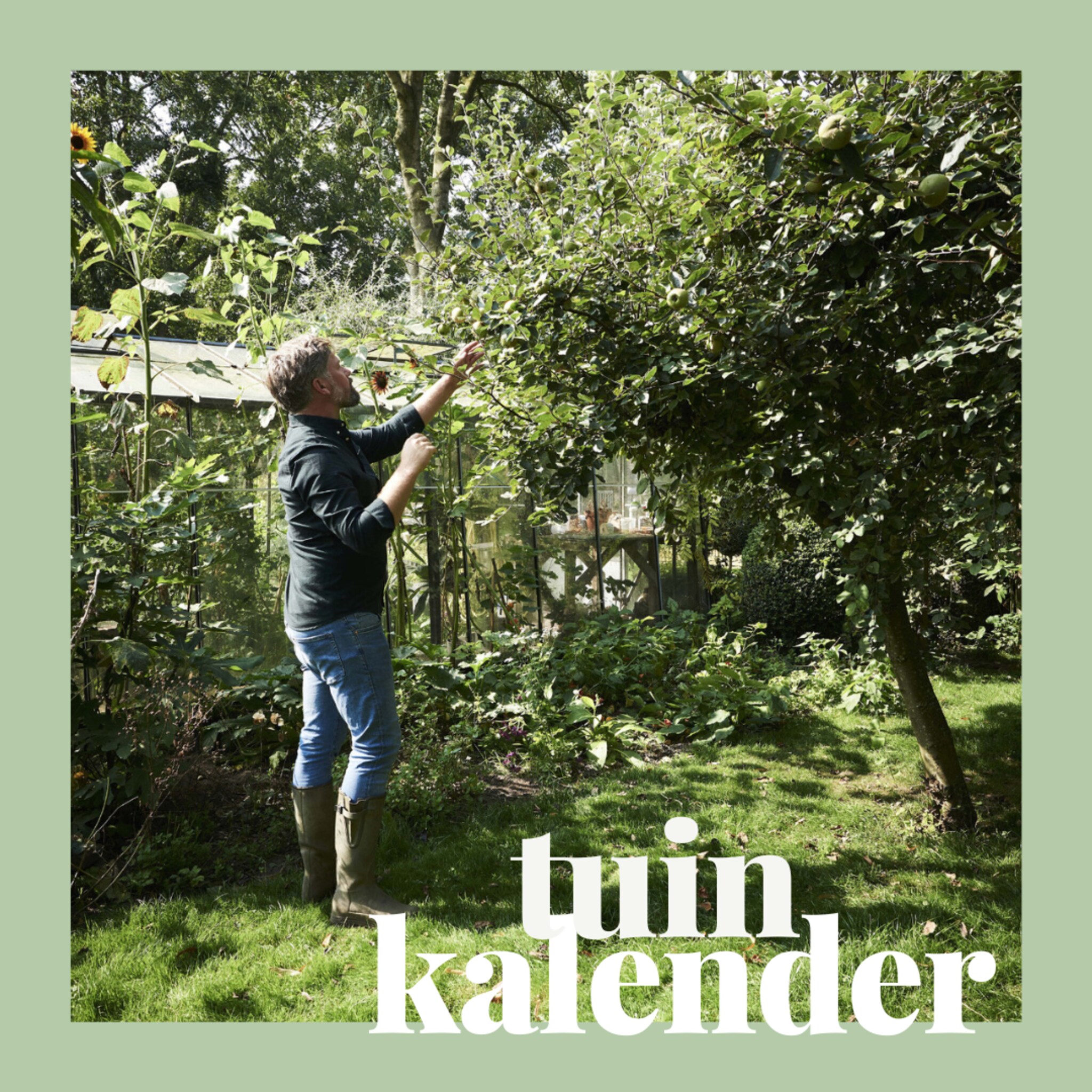 linkinbiotuin-2024-01-01-tuinkalender-januari