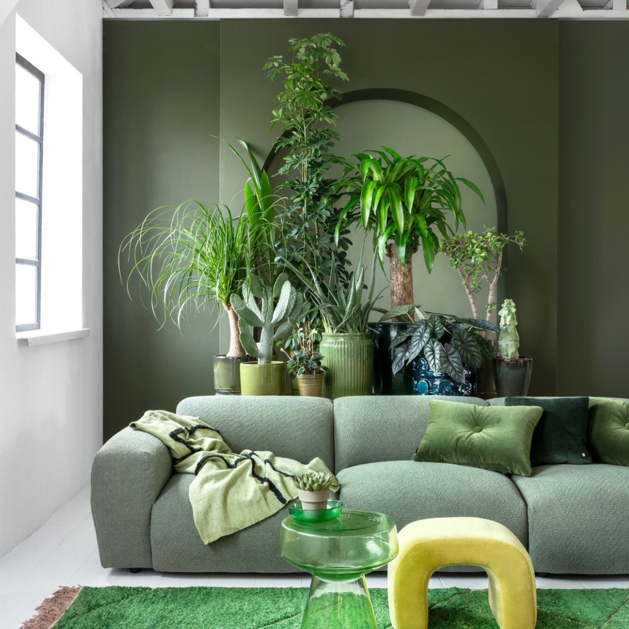 linkinbio-2024-01-02-6x-kamerplanten