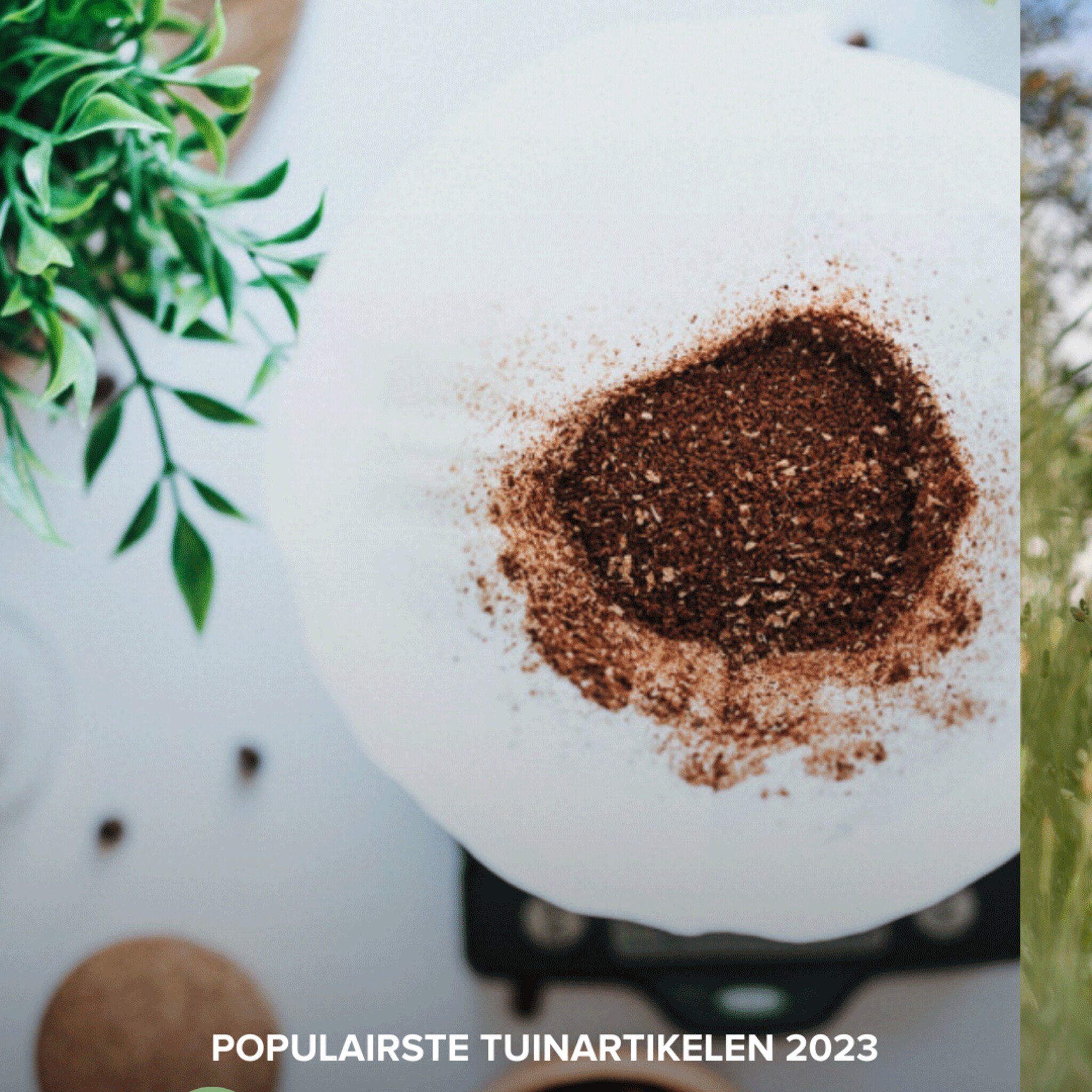 linkinbiotuin-20231231-beste-tuinartikelen-2023