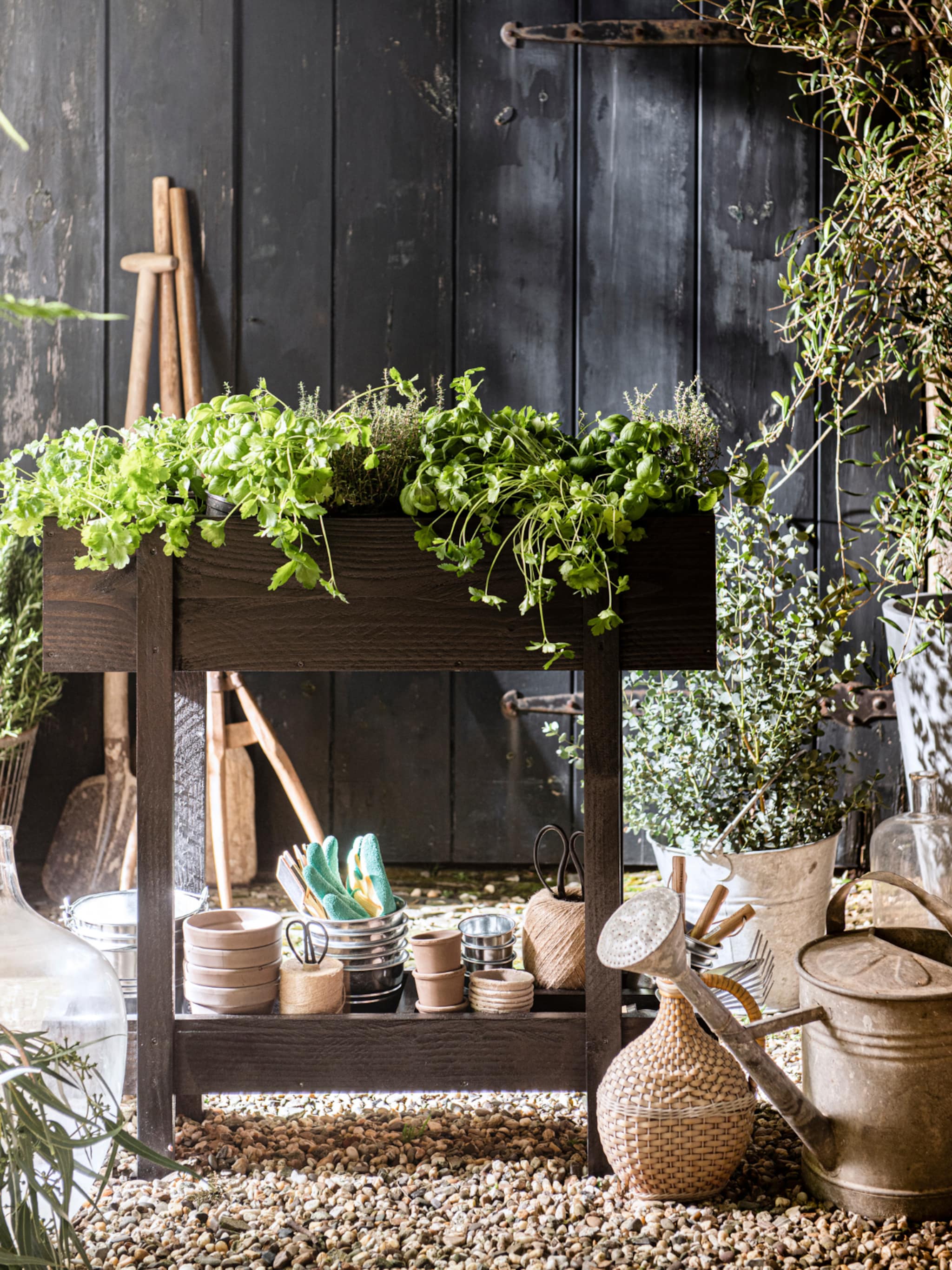 wat je zaait zul je oogsten zo benut je een kleine moestuin optimaal