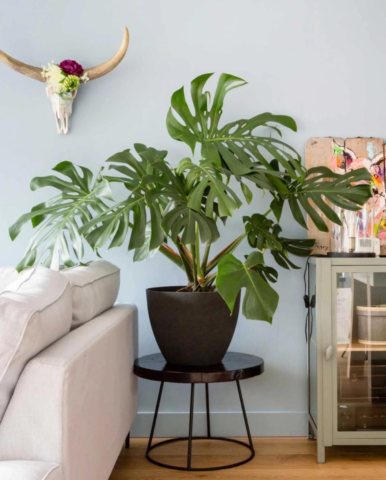Bijzettafel: Woonboulevard Poortvliet XXL, Plant ‘Monstera’: Scheepstra Bloemen, Schildering op hout: privébezit, Vitrinekastje: Woonboulevard Poortvliet XXL, Koffers: privébezit, Stolp met lamp: Woonboulevard Poortvliet XXL, Vaas: vtwonen.nl, ‘Zakje met licht’: vtwonen.nl vtwonen verbouwen of verhuizen seizoen 2 aflevering 5 | styling Eva van de Ven | fotografie Barbara Kieboom