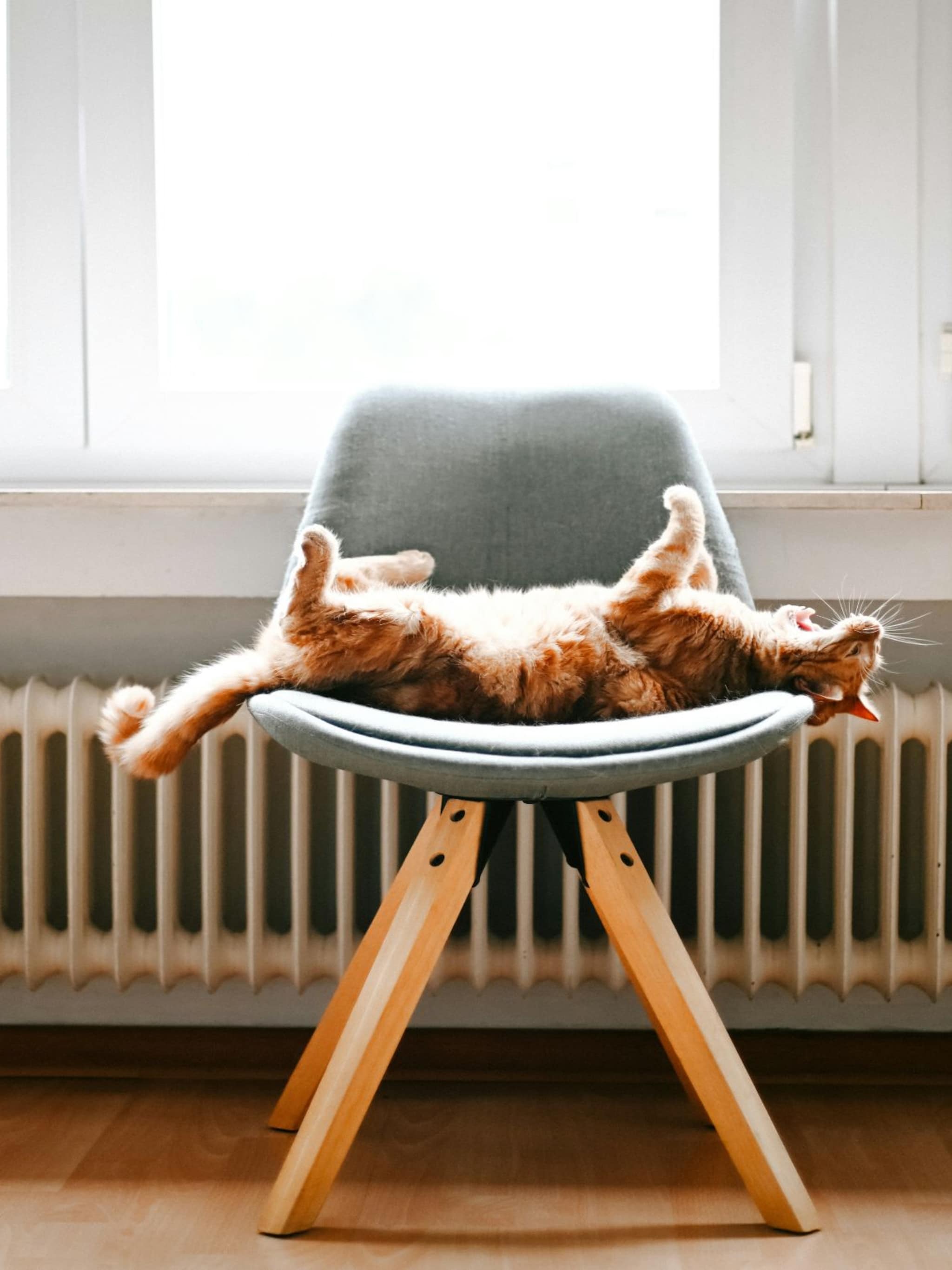 verwarming ontluchten wanneer en hoe doe je dit