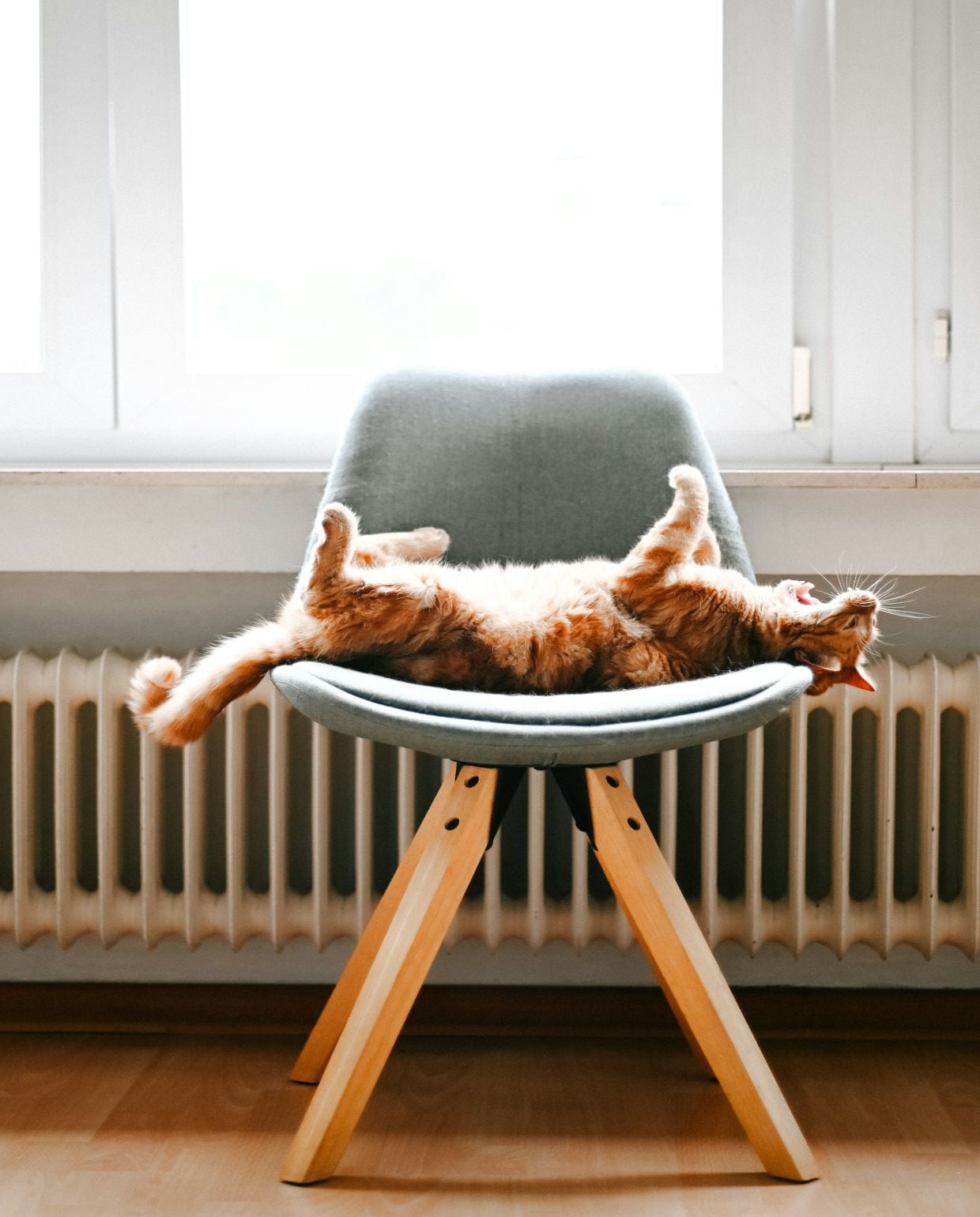 Radiator ontluchten Unsplash
