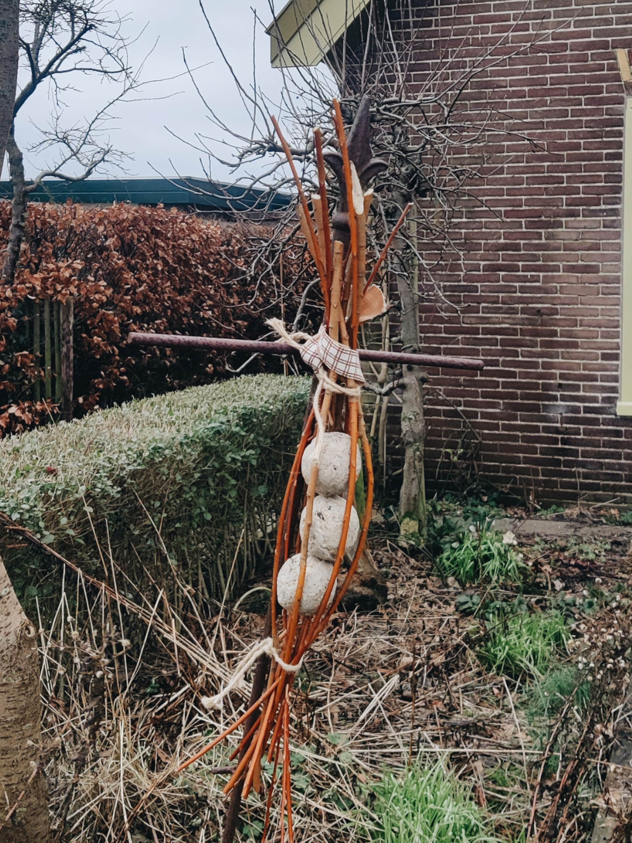 diy vetbolhouder aan de slag voor de vogels met tuinexperts vivian en mark
