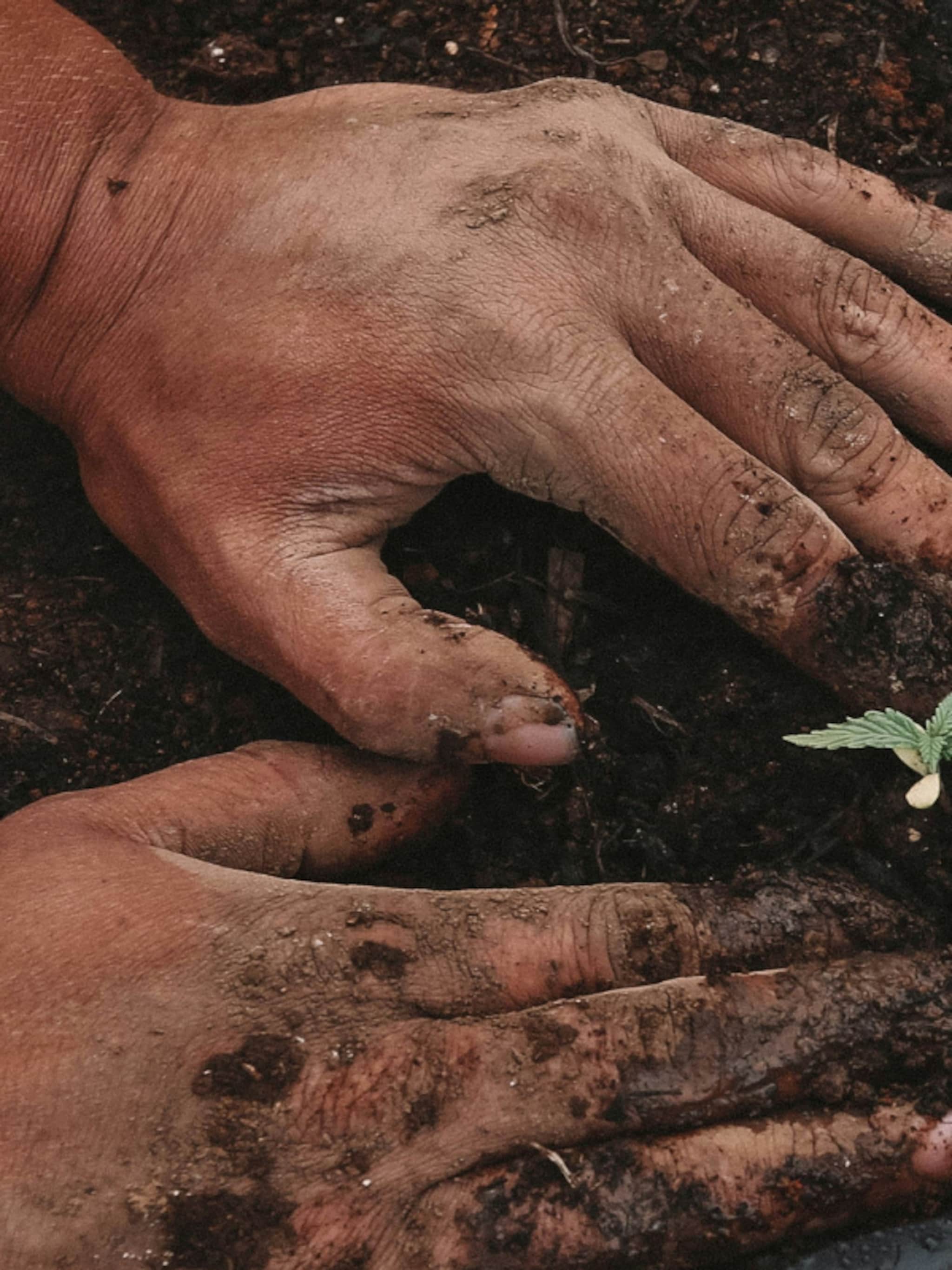 dankzij deze gouden tips wordt zaaien in de moestuin een makkie