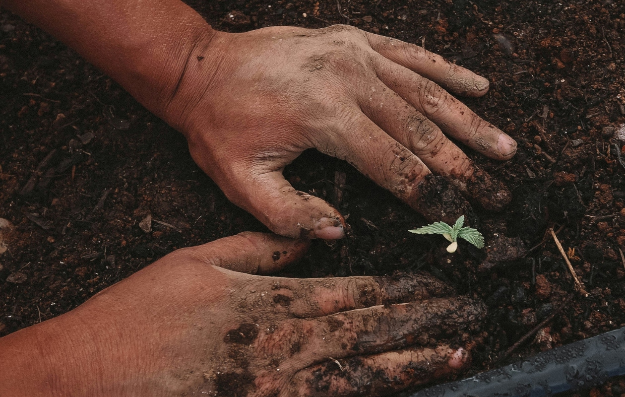 Dankzij deze gouden tips wordt zaaien in de moestuin een makkie GreenForce Staffing via Unsplash