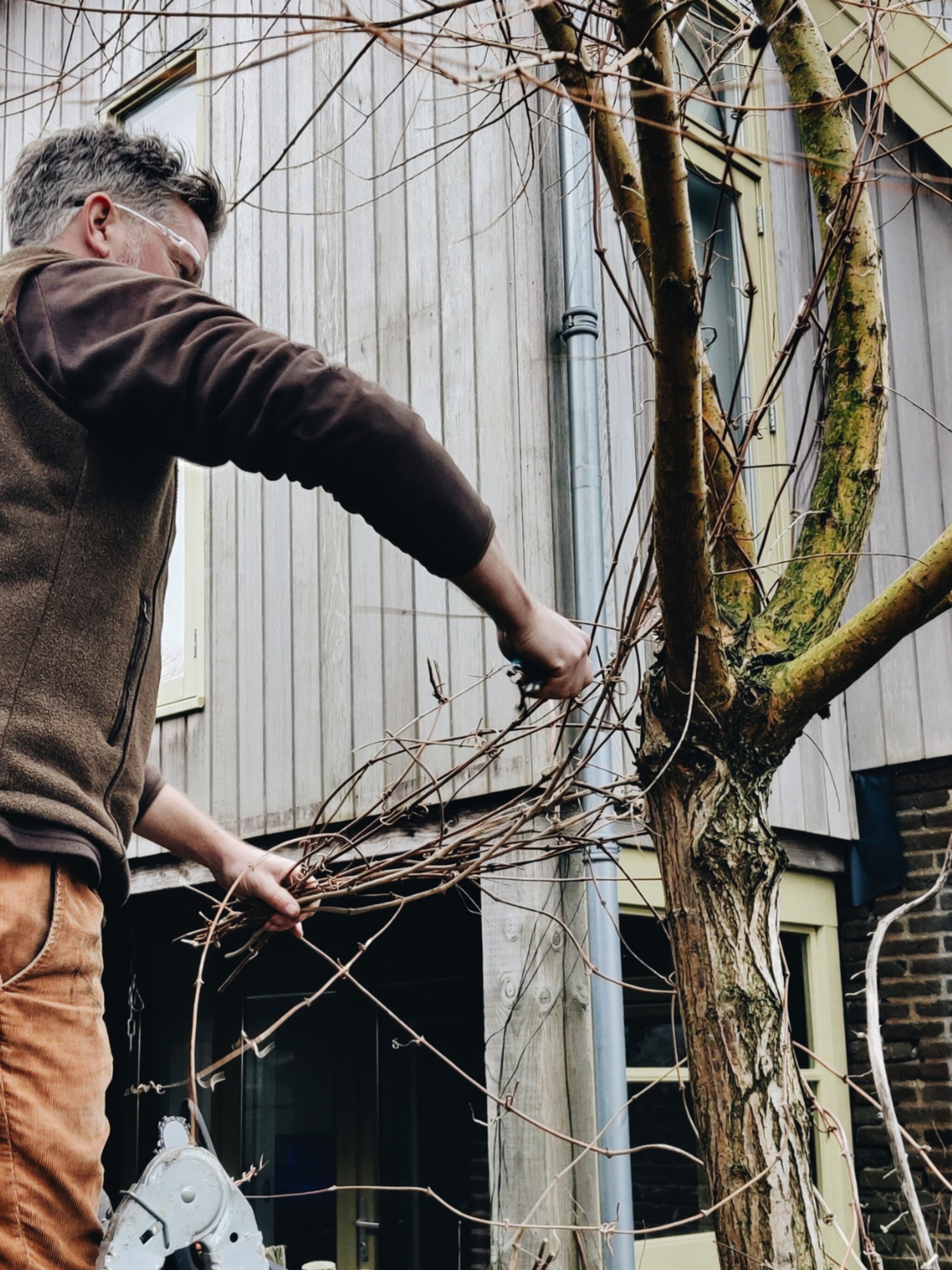snoeihulp van tuinexperts vivian en mark dit zijn de maanden om te snoeien