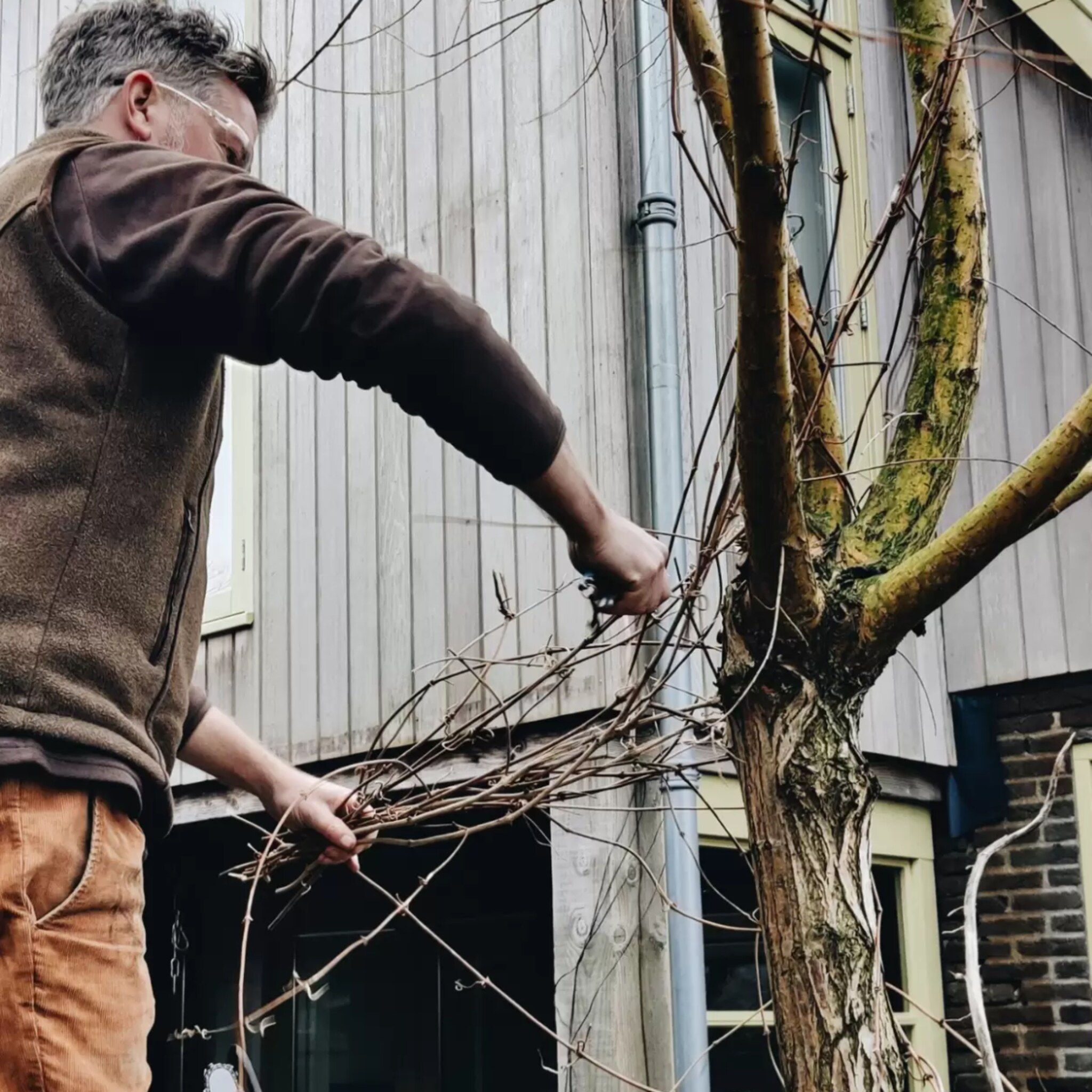 Mark snoeit de takken van de bomen