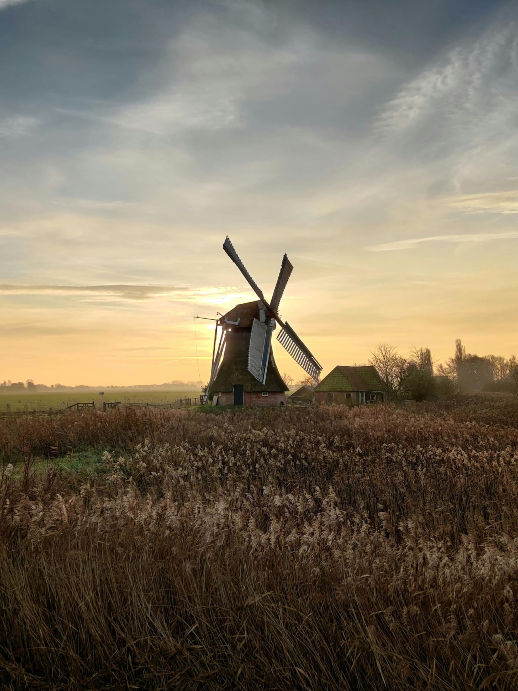 8 groene daguitjes in nederland