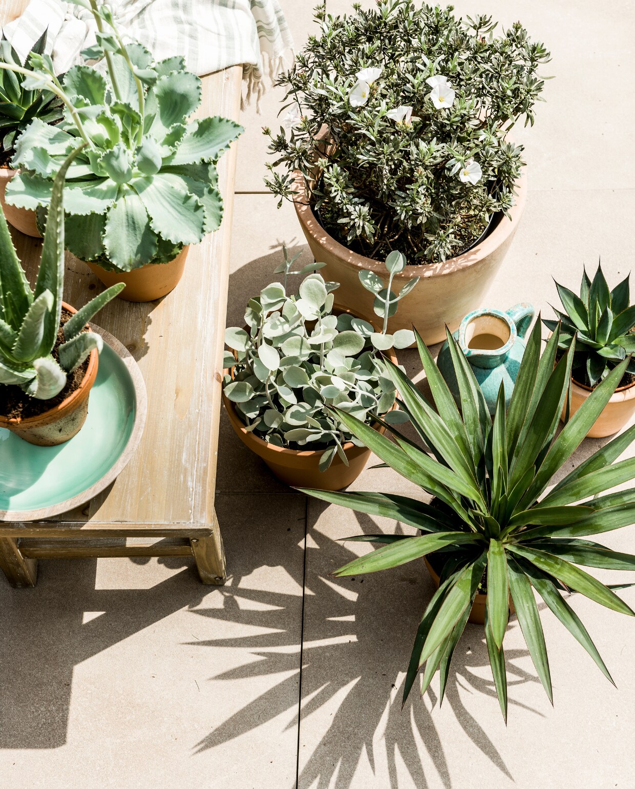 vtwonen 07-2016 - planten e.d. niet gevonden vtwonen 07-2016 | fotografie Sjoerd Eickmans | styling Moniek Visser