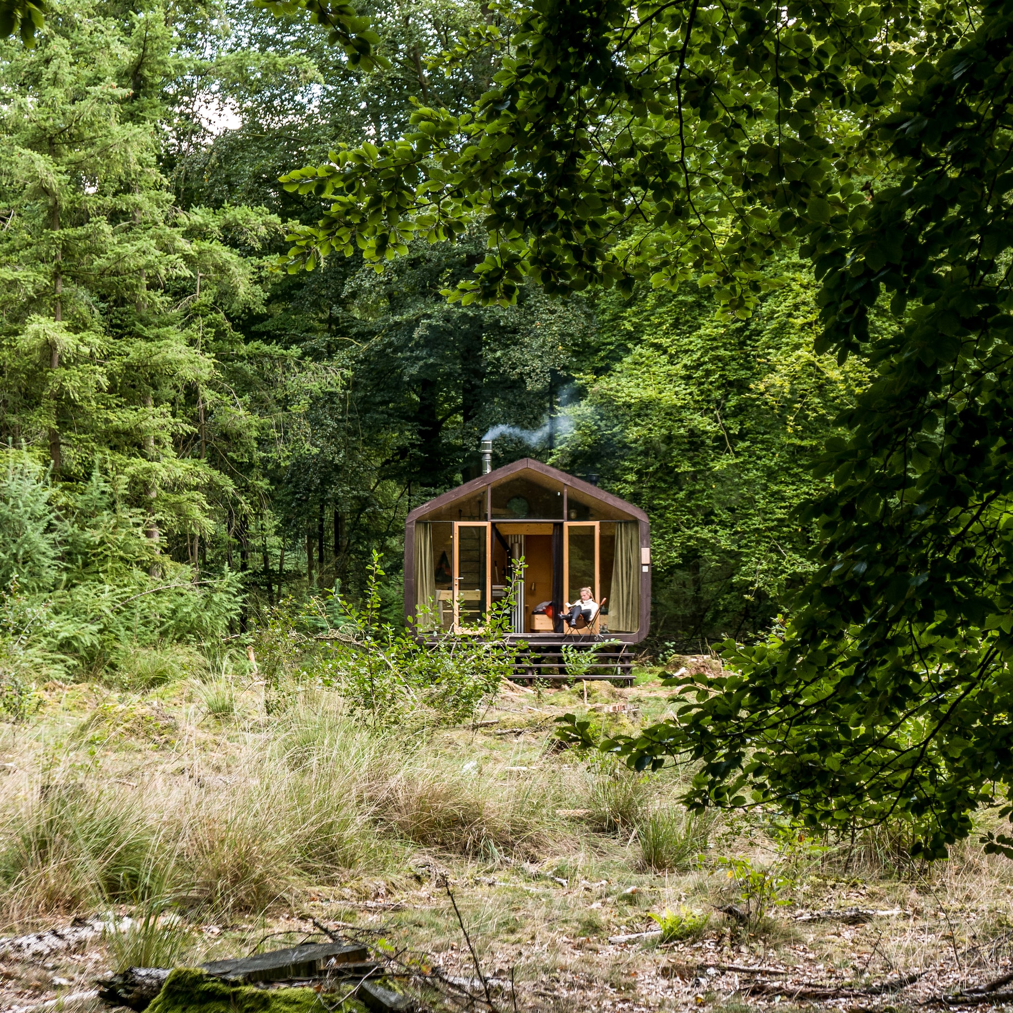 overnachten boomhut belgie nederland