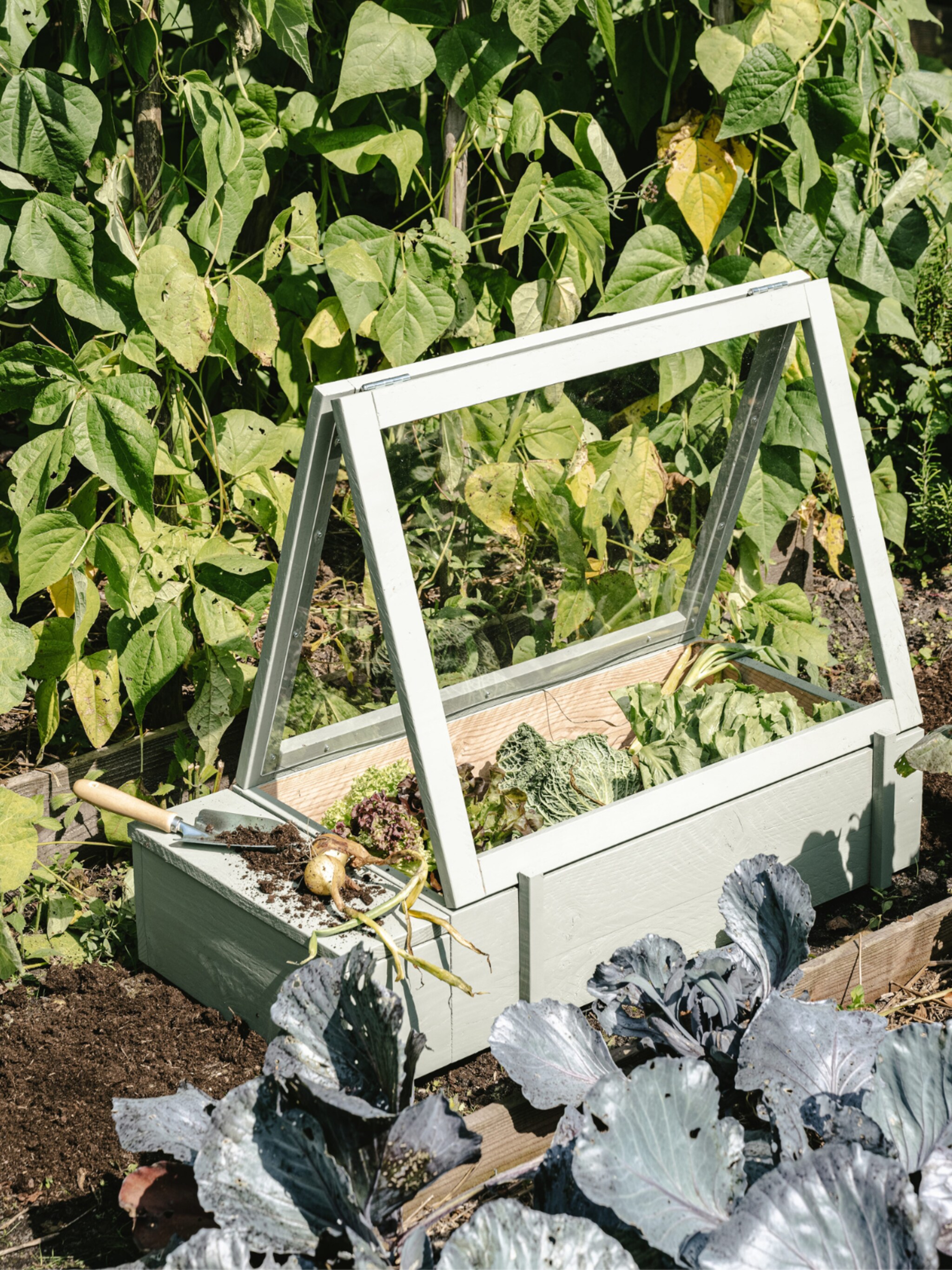 diy kweek groenten en fruit in een zelfgemaakte minikas
