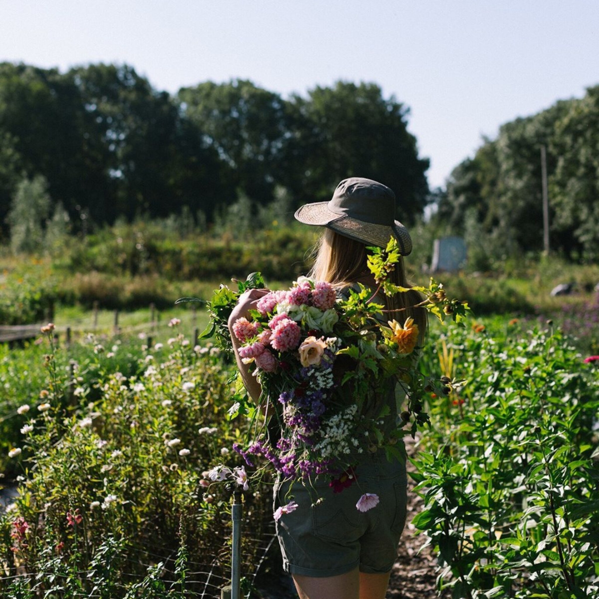 Landschap me bloemen