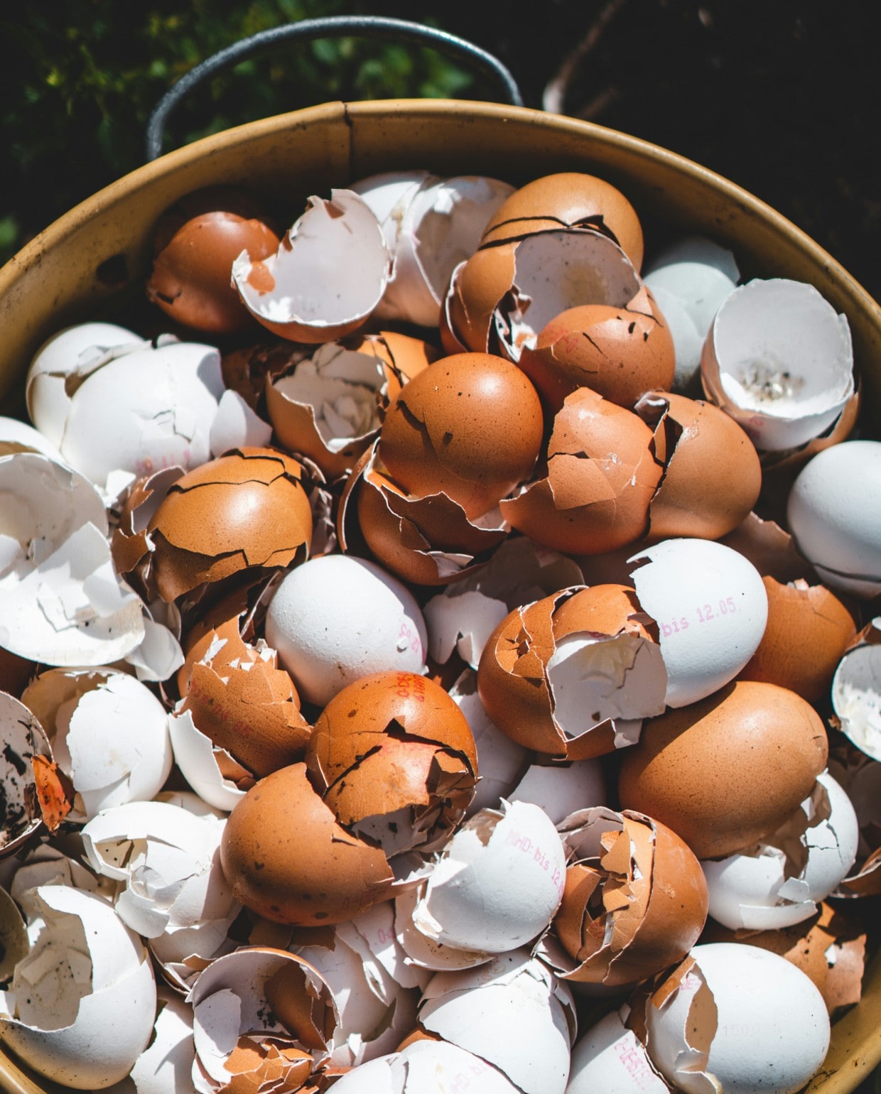 Eierschalen kun je goed gebruiken voor de tuin. Unsplash