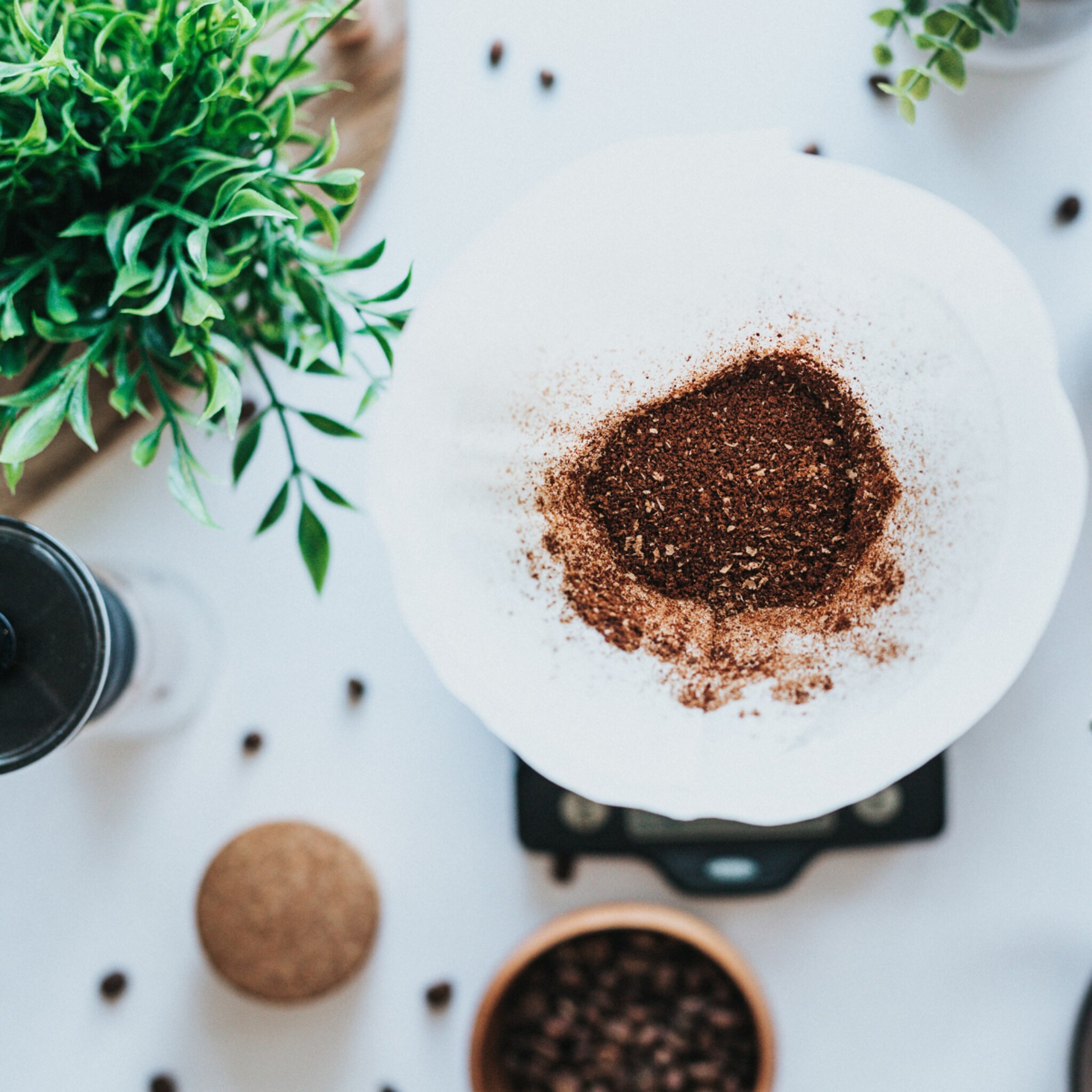 Koffiedik voor in de tuin