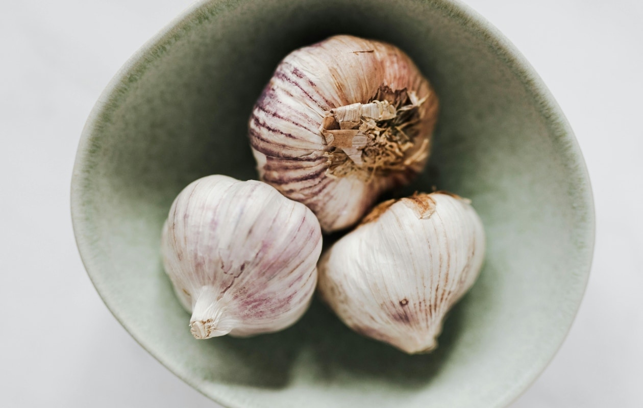 Zelf knoflook kweken in een pot of de volle grond Pexels