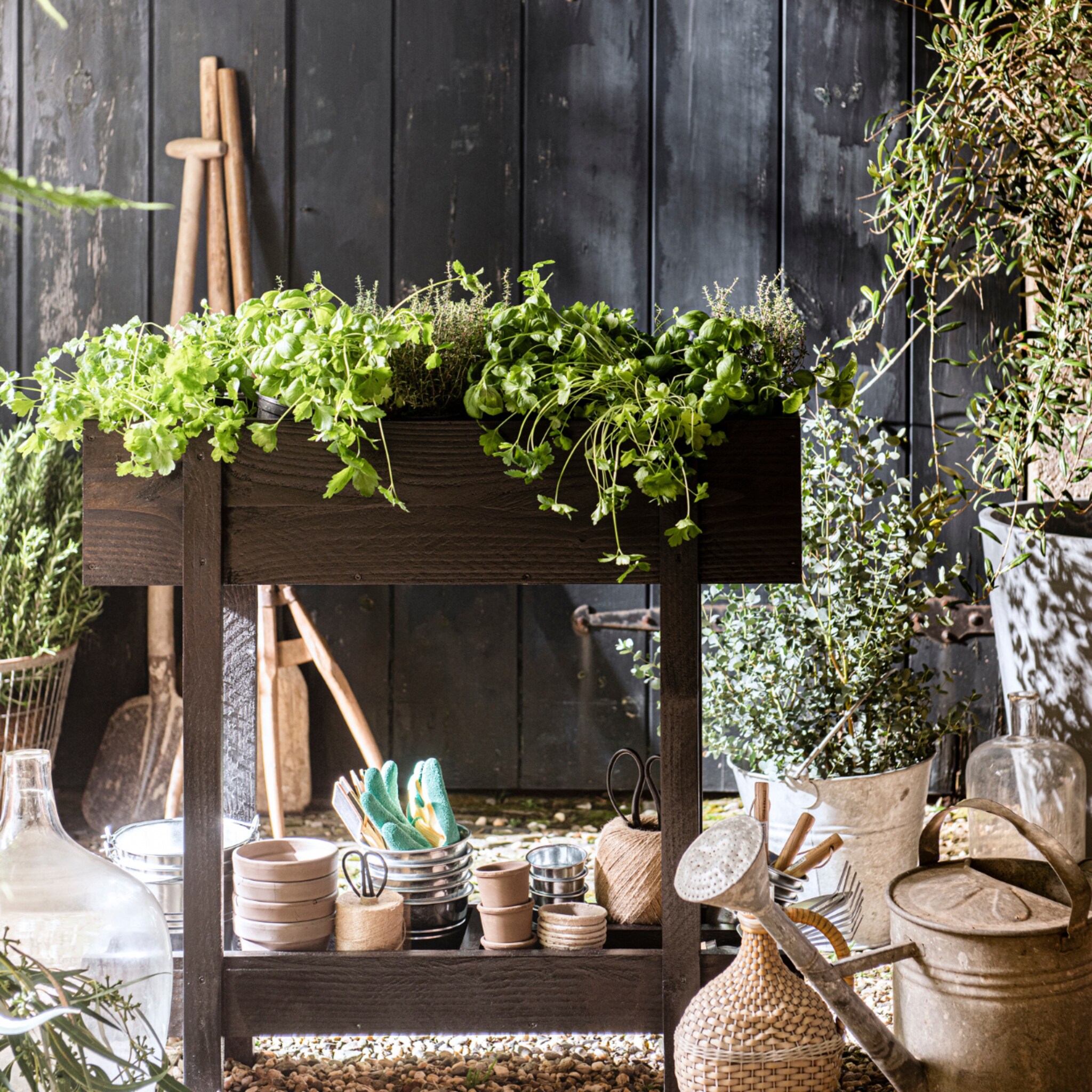 kleine moestuin