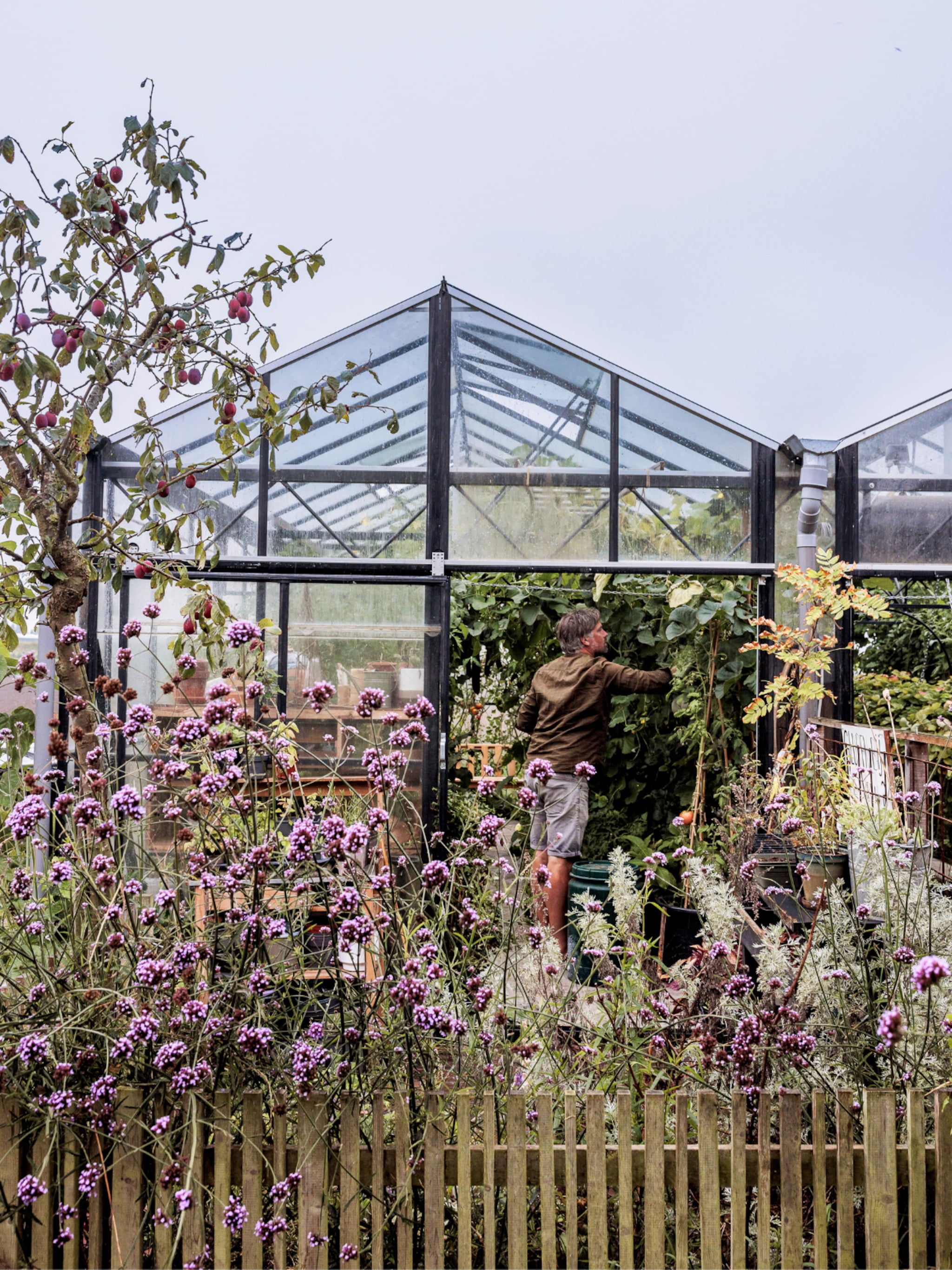 een kas plaatsen in je tuin