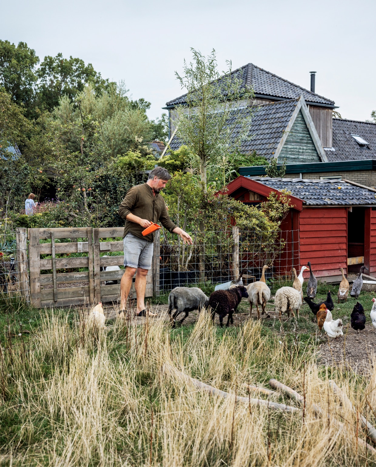 De dierenweide met erachter de moestuin. Het schapenboetje werd gekocht via Marktplaats en is geschilderd in Zweeds rood met duurzame verf van Moose Färg, die vrij is van schadelijke stoffen. vtwonen tuinspecial 09 | styling Fietje Bruijn | fotografie Ernie Enkelaar
