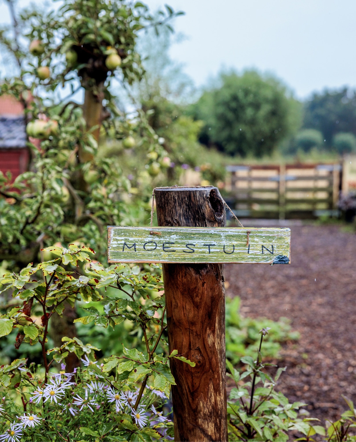 Moestuin bord. vtwonen tuinspecial 09-2024 | styling Fietje Bruijn | fotografie Ernie Enkelaar