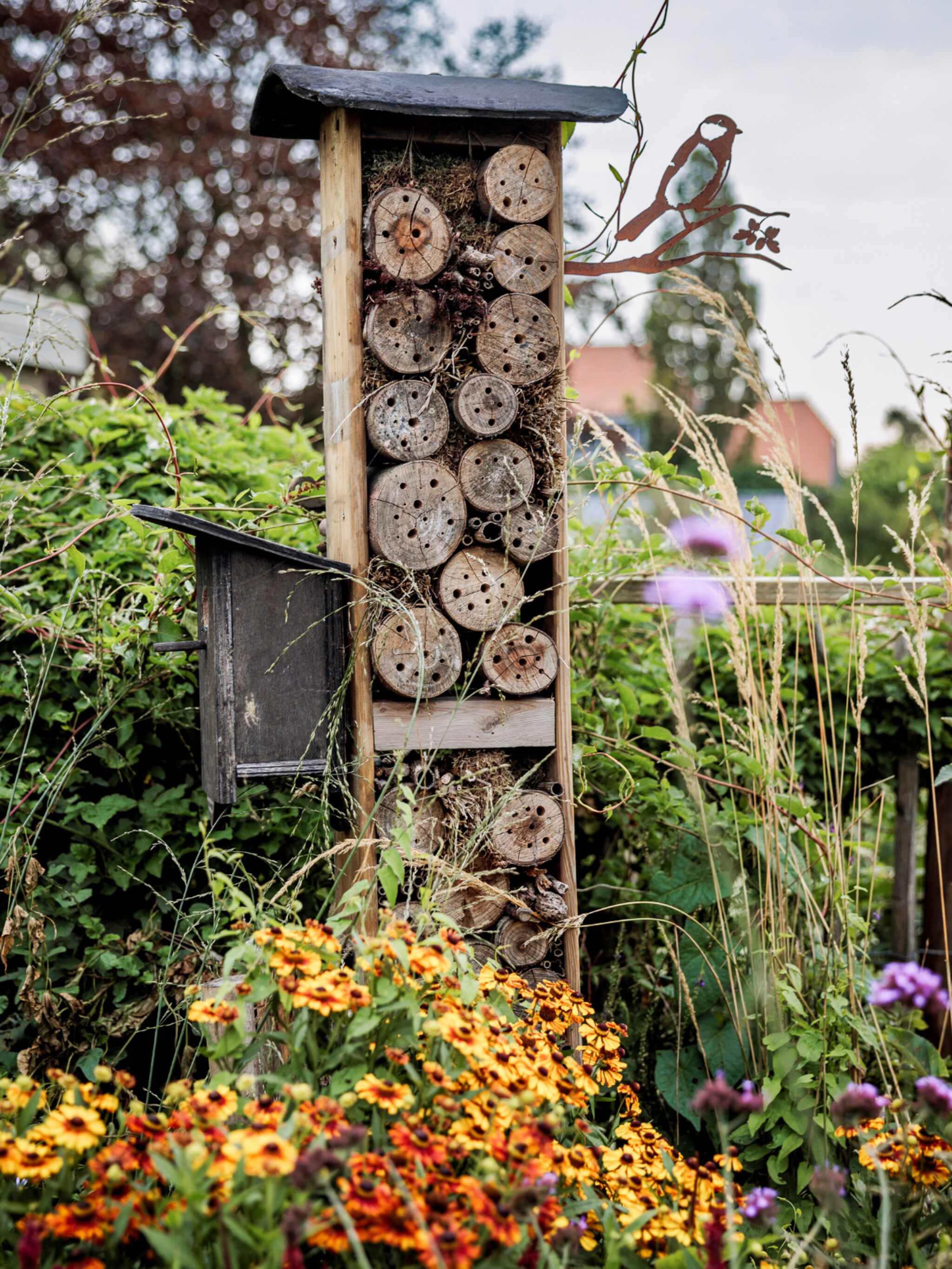 zo maak je een insectenhotel