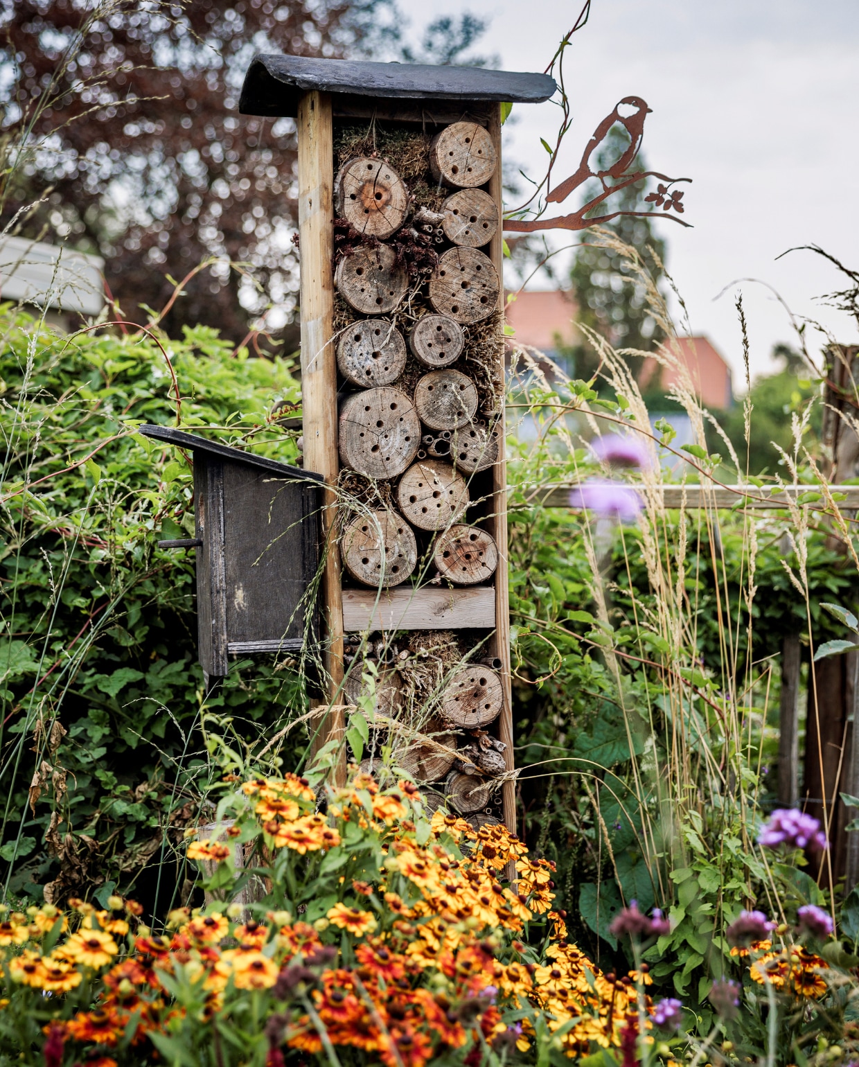 Het bijenhotel dat Mark maakte voor een van zijn vtwonen-blogs. Bijen zijn onmisbaar in de natuur. Voor het bijenhotel bloeit Helenium. (In de tuin van tuinexperts Vivian Hoebe en Mark Mulder) vtwonen tuinspecial 09 | styling Fietje Bruijn | fotografie Ernie Enkelaar