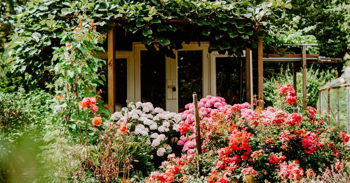 12 makkelijk te kweken zomerbloemen voor de tuin | vtwonen