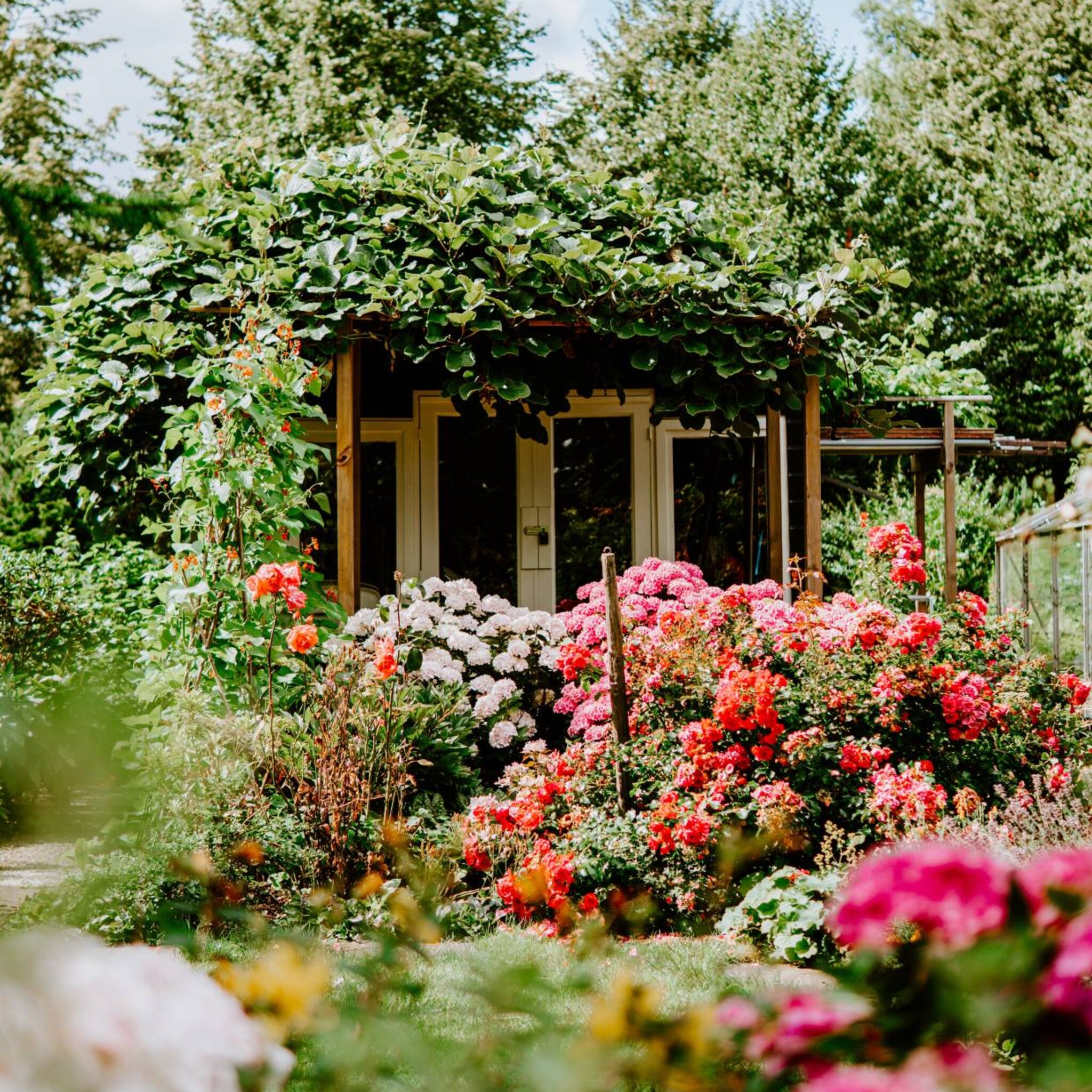 Tuin met veel planten die tegen de zon kunnen