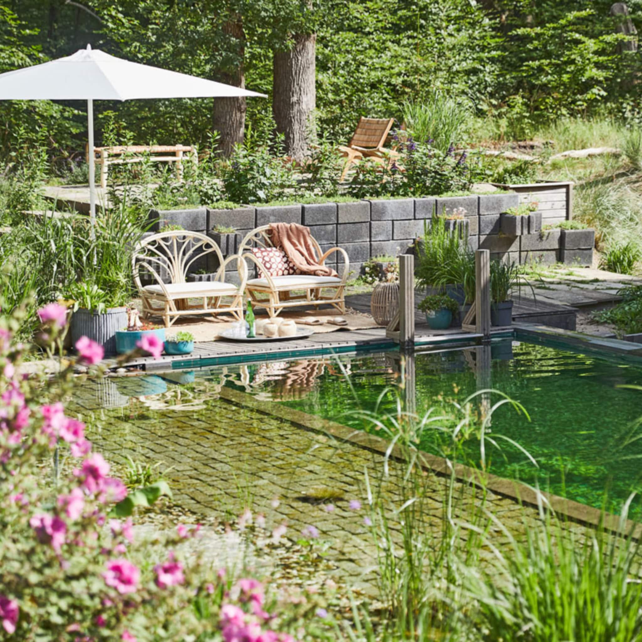 Zomerse tuin met een zwemvijver