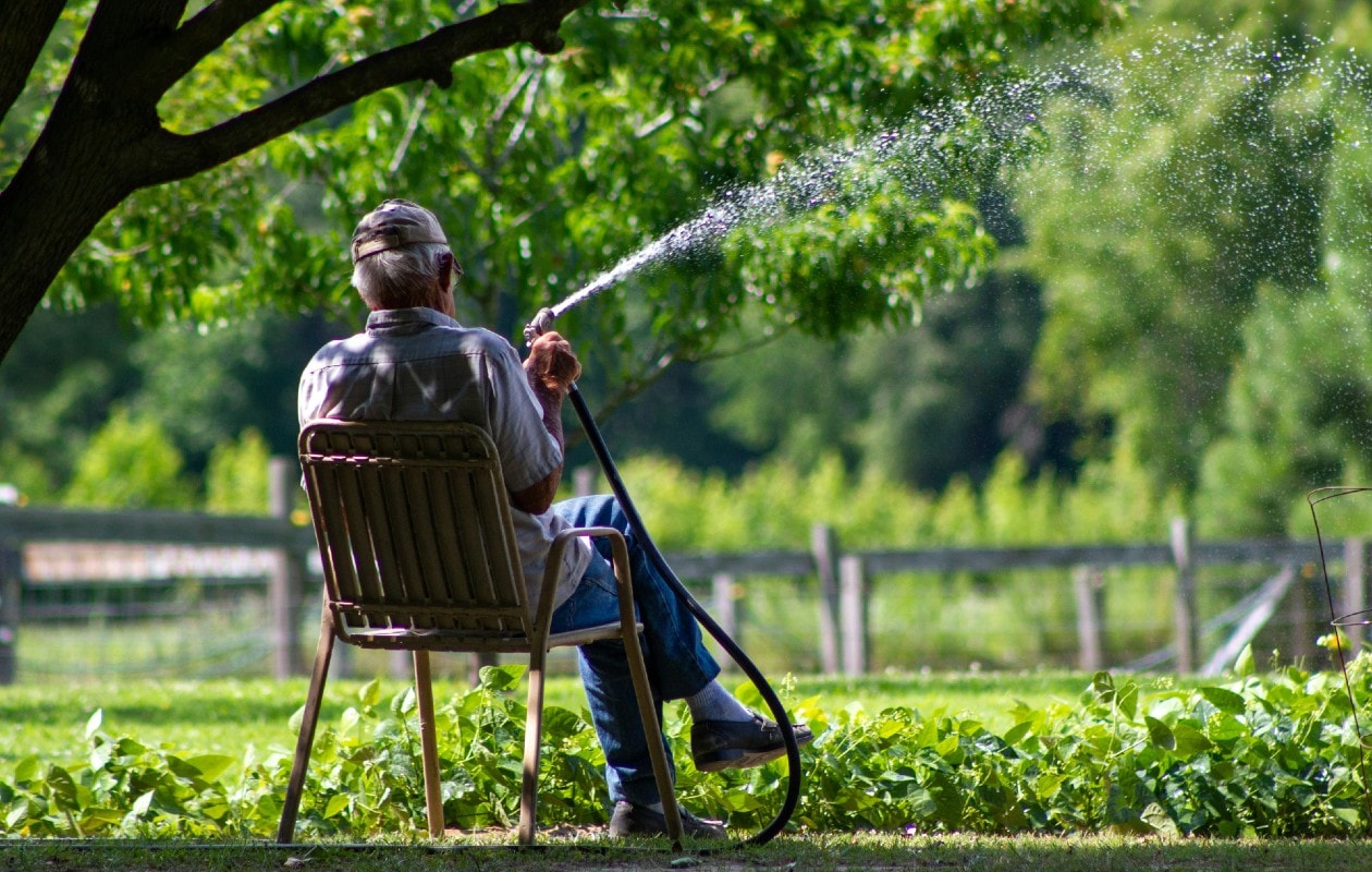 Gras sproeien: hoe vaak en hoe lang doe je dit? Unsplash