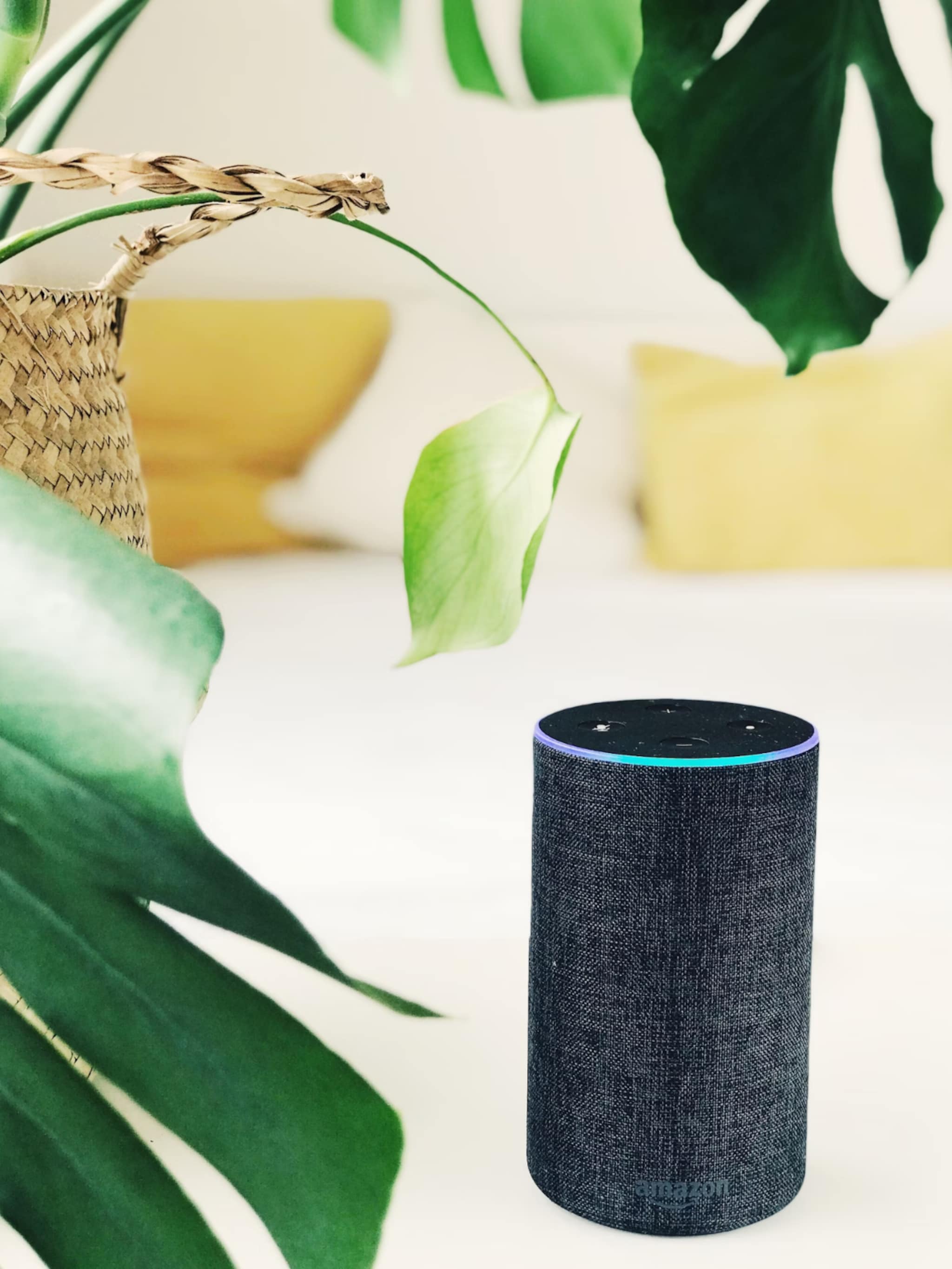 dat klinkt goed een smart speaker als persoonlijke assistent